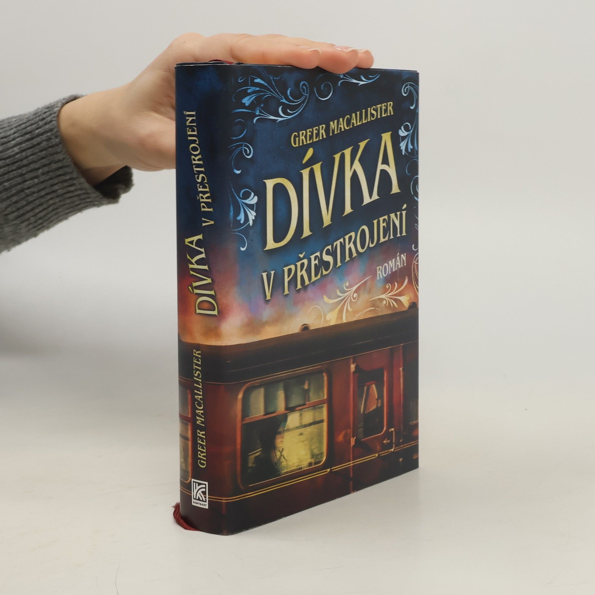 Greer Macallister Dívka v přestrojení