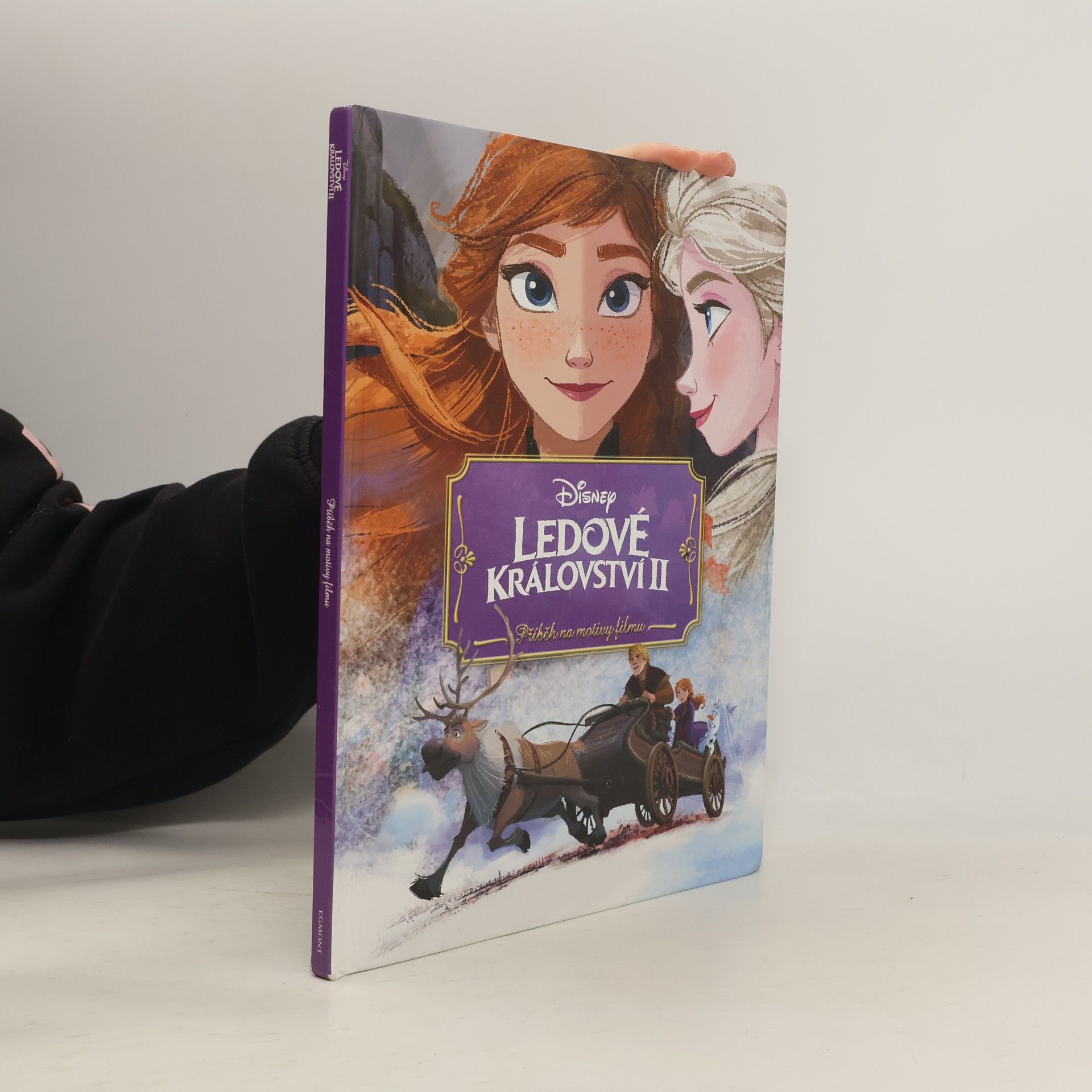Petra Vichrová Ledové království II