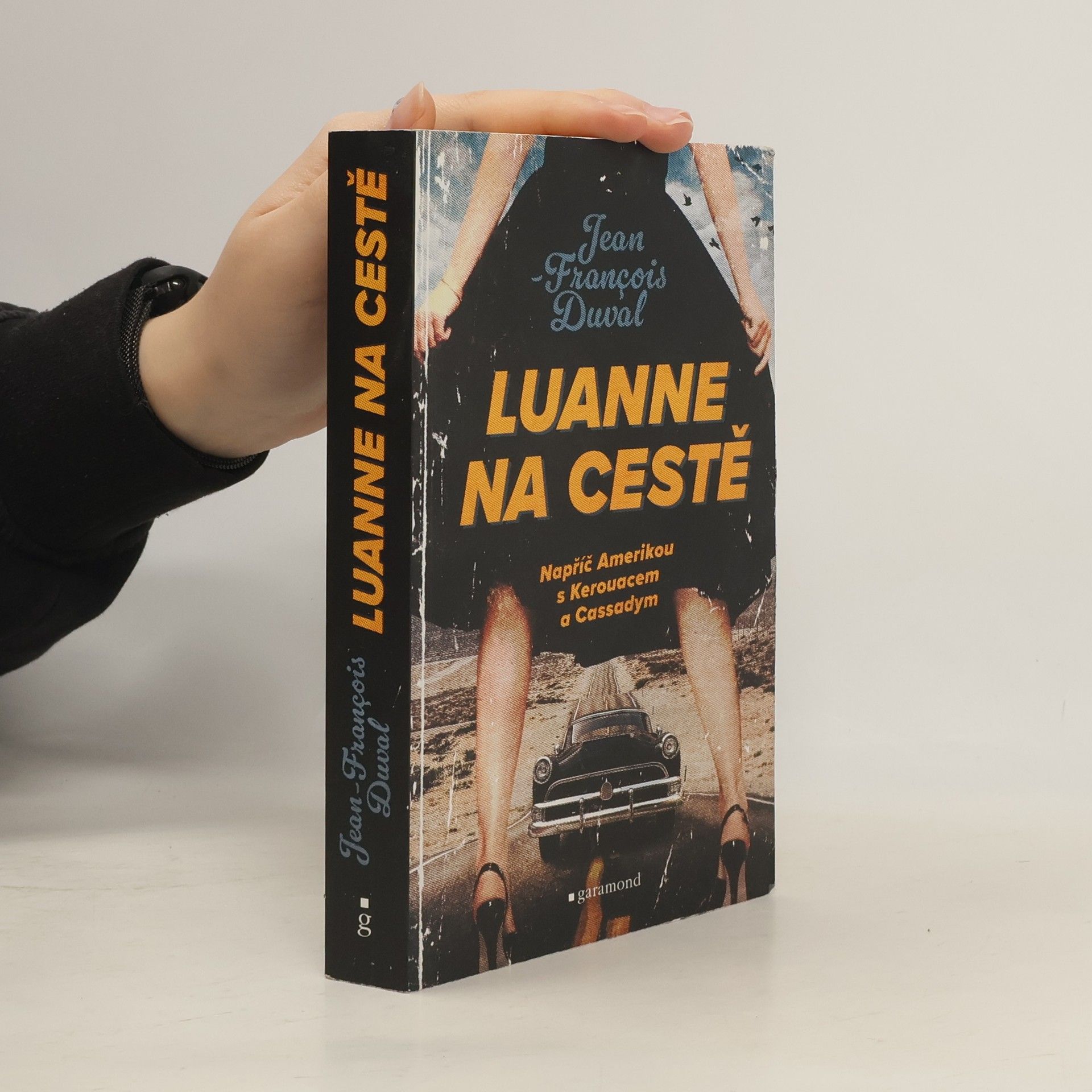 Tomáš Havel LuAnne na cestě : napříč Amerikou s Kerouacem a Cassadym