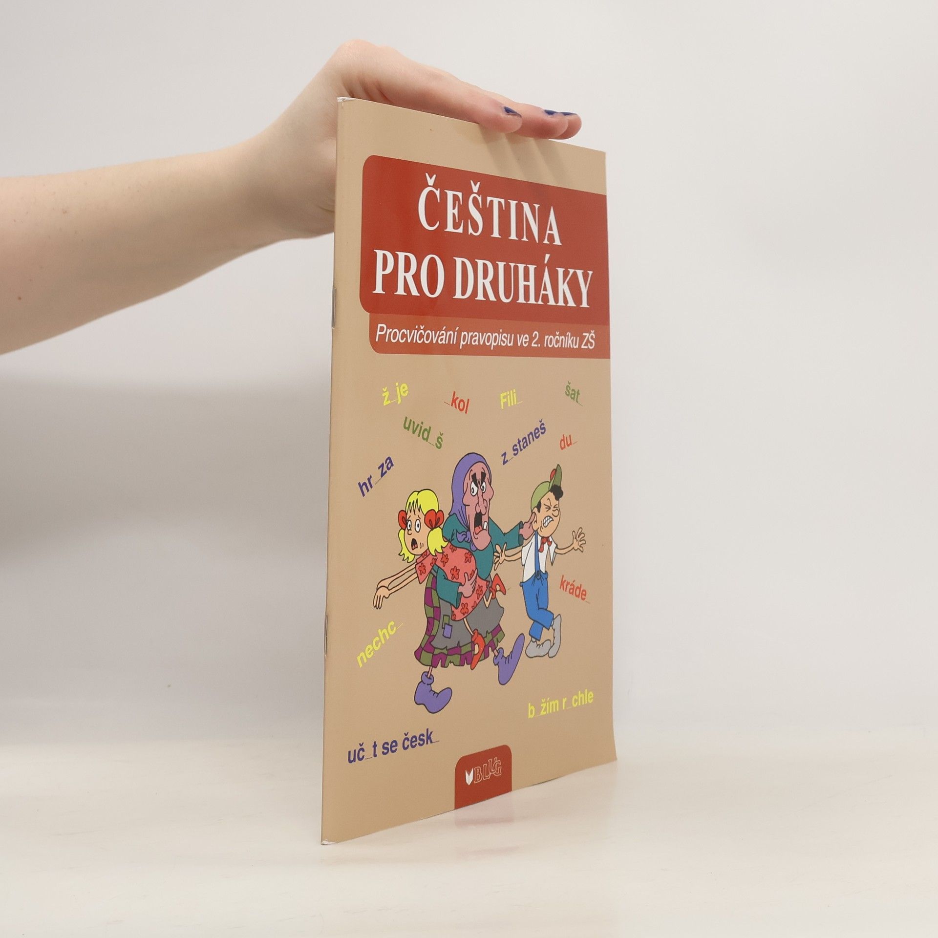 Collectif d'auteurs Čeština pro druháky
