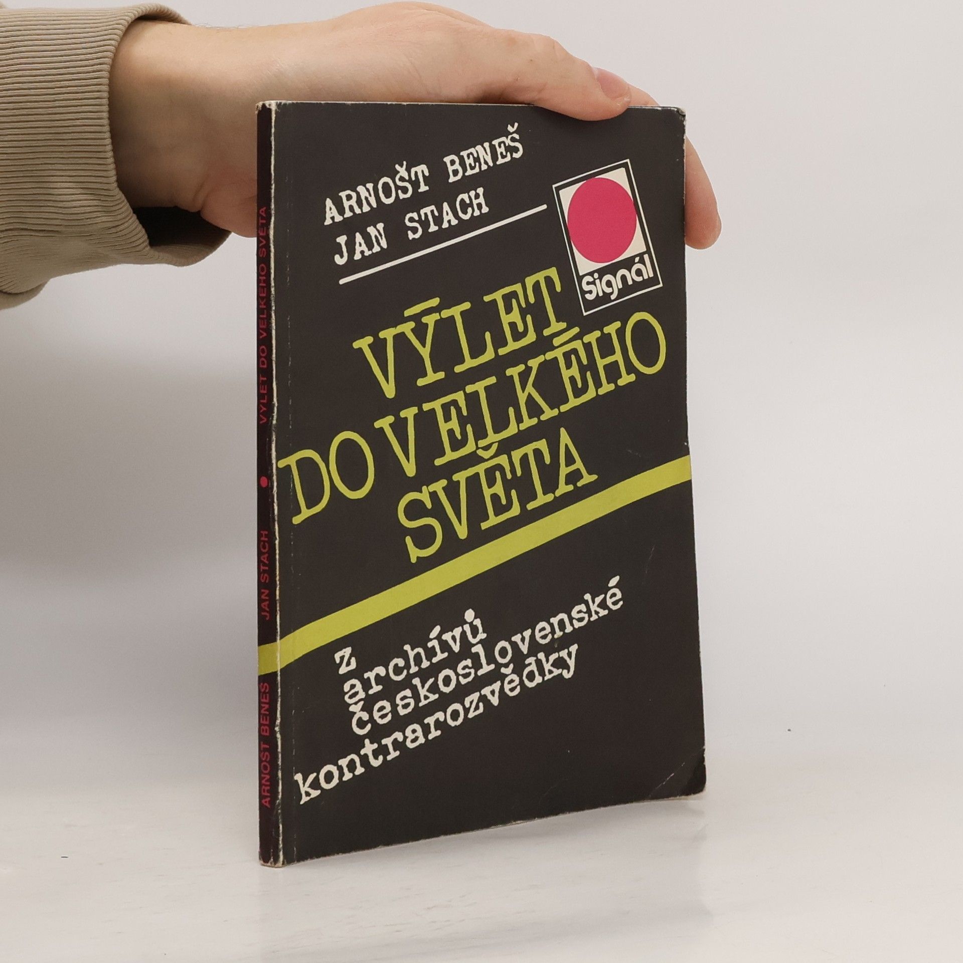 Výlet do velkého světa