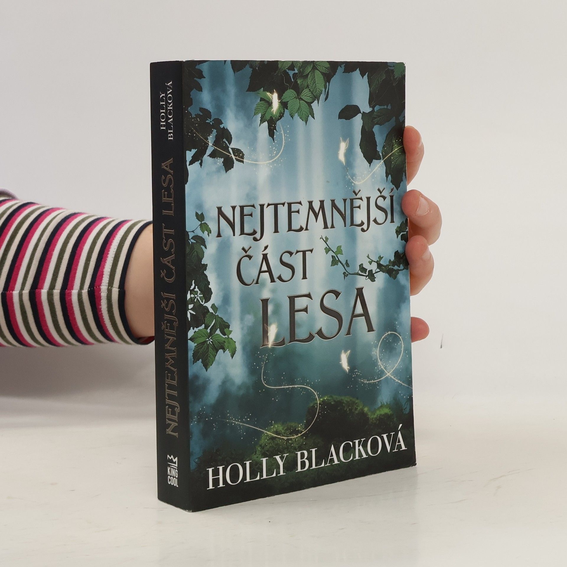 Holly Black Nejtemnější část lesa