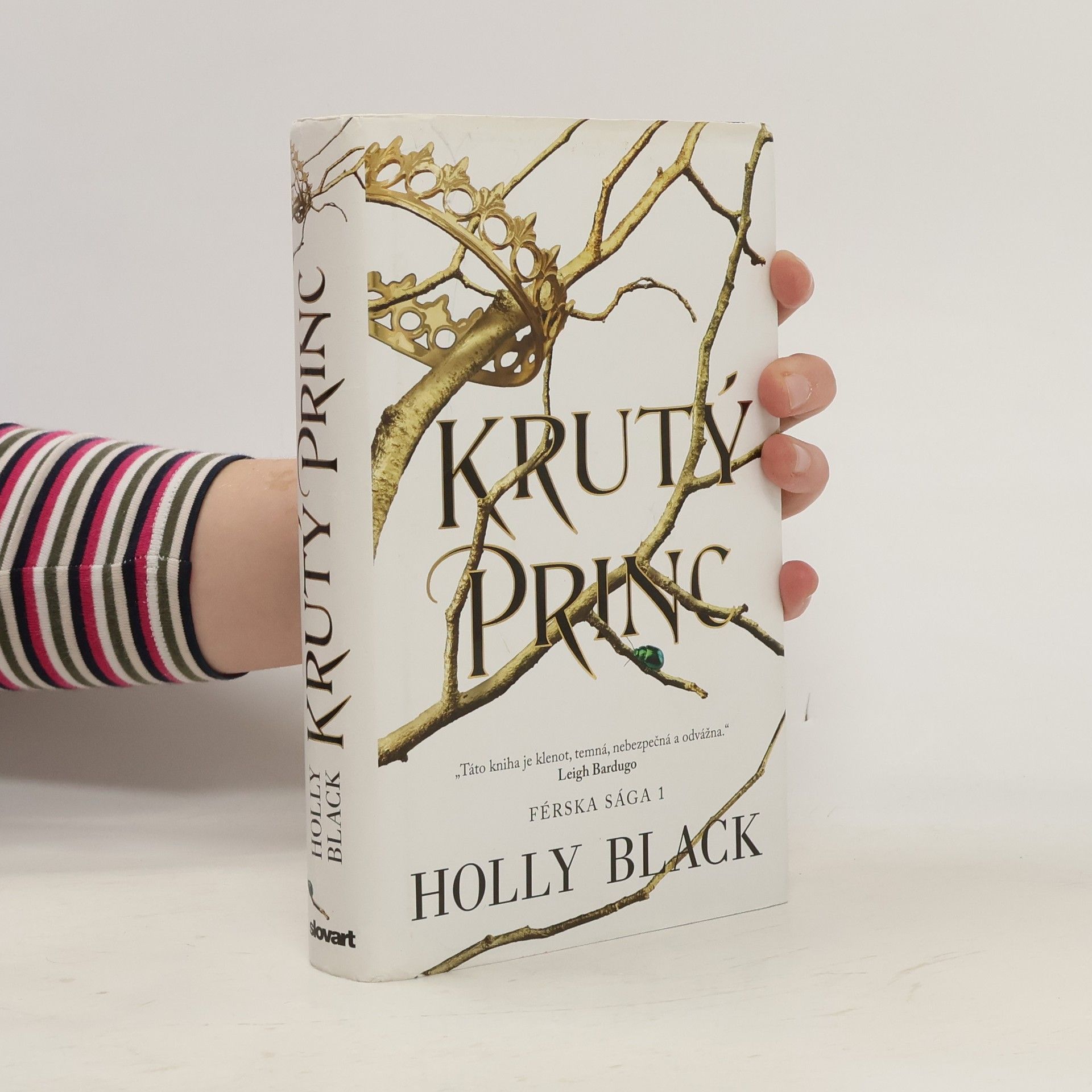 Holly Black Krutý princ