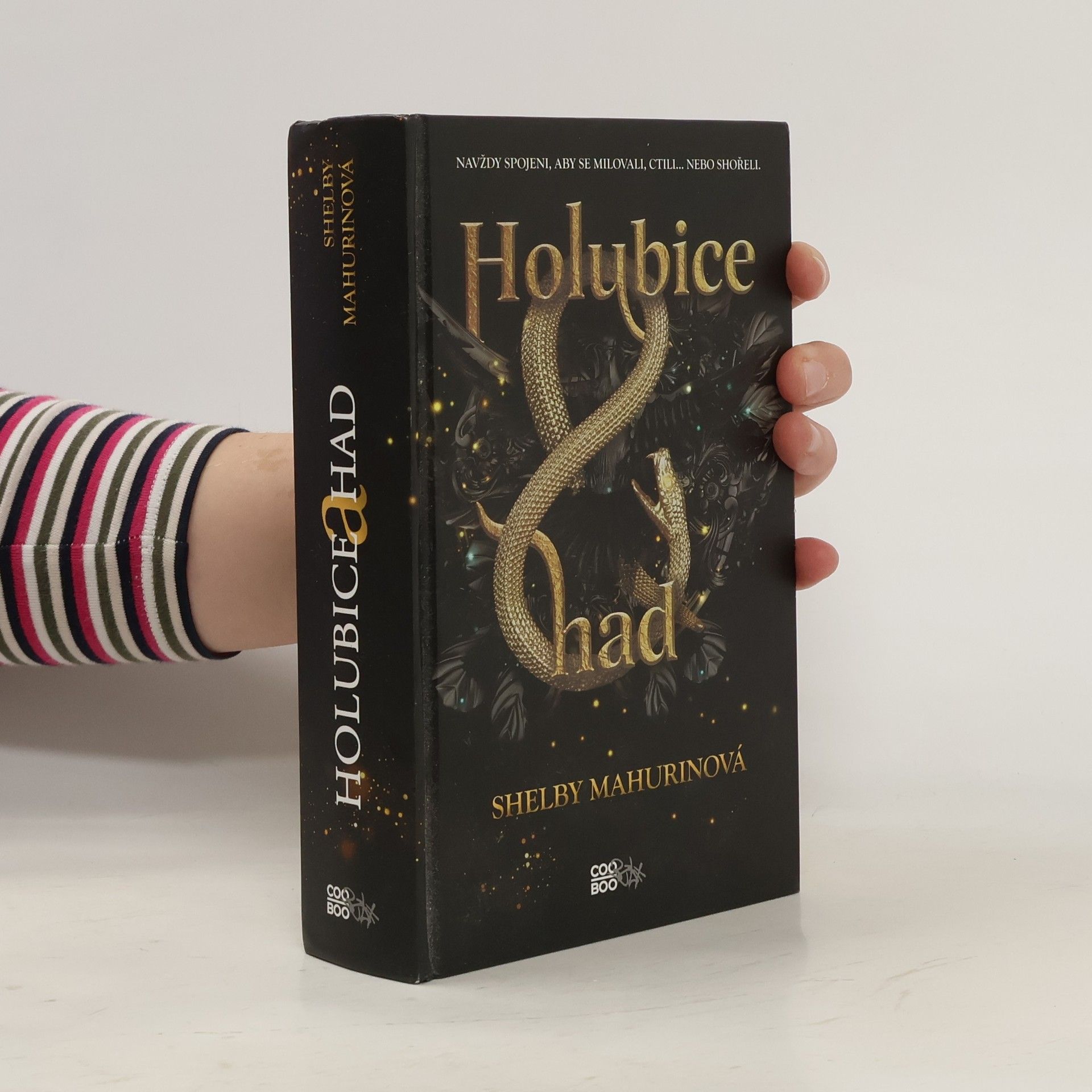 Shelby Mahurin Holubice a had