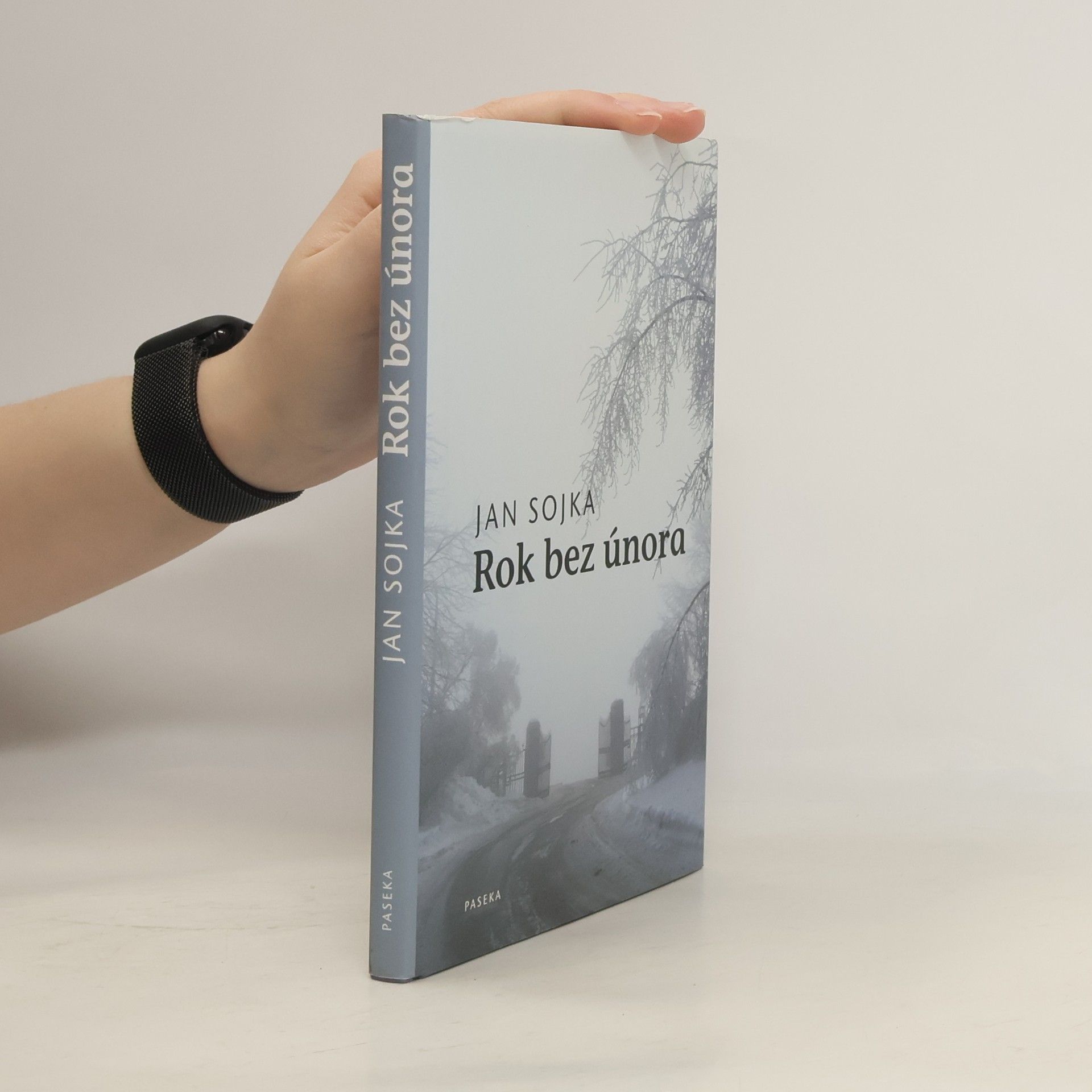 Jan Sojka Rok bez února
