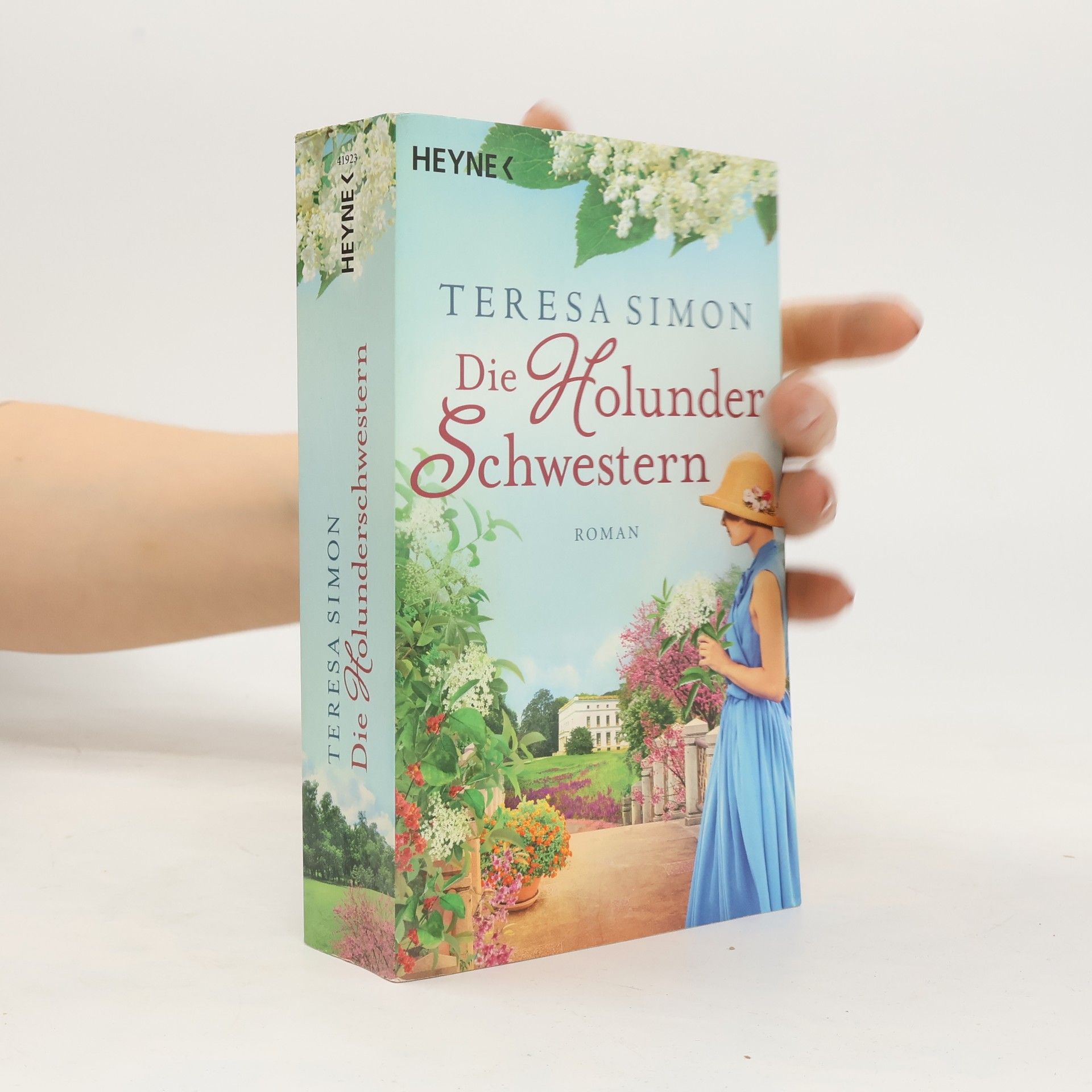 Brigitte Riebe Die Holunderschwestern