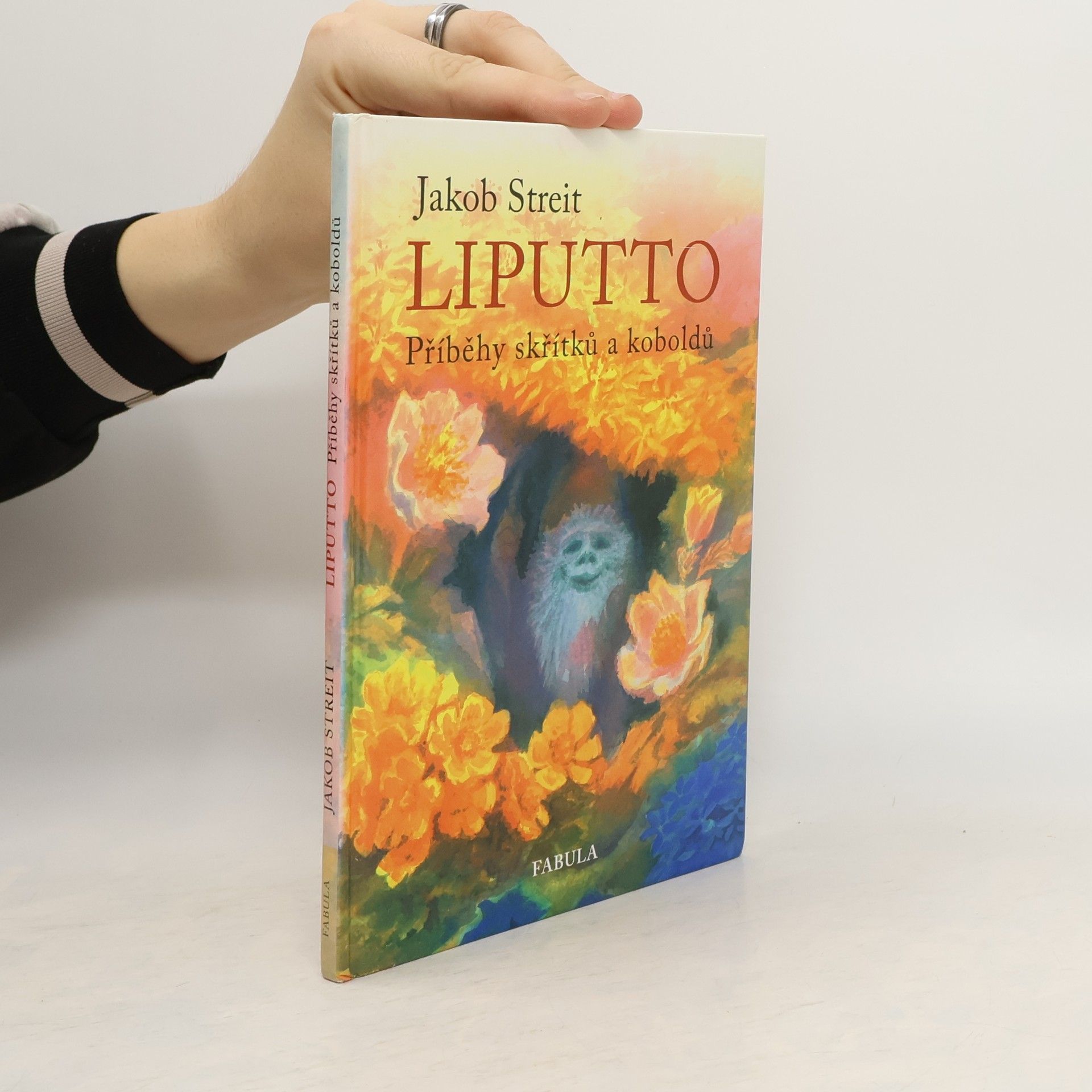 Liputto : příběhy skřítků a koboldů