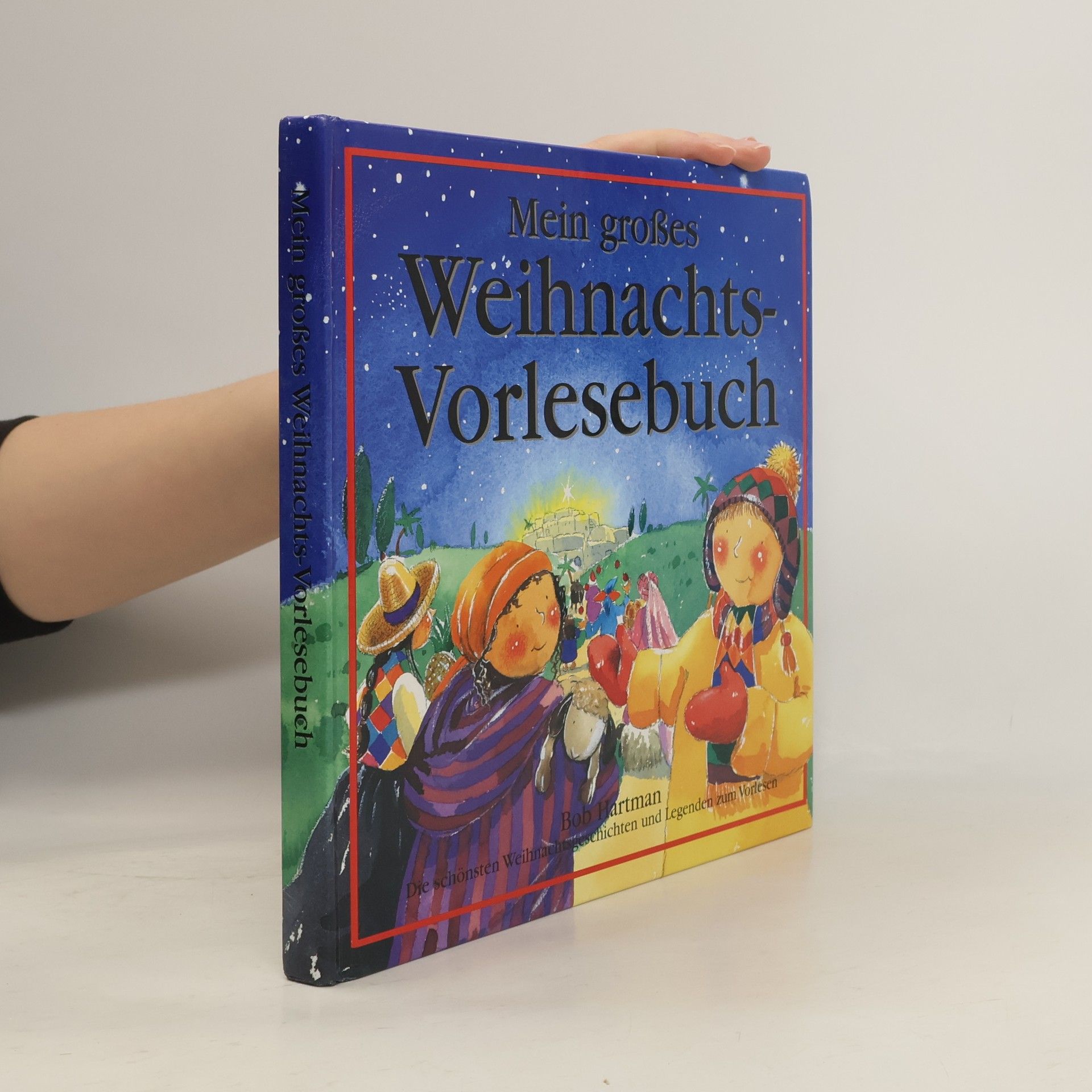 Mein großes Weihnachts-Vorlesebuch