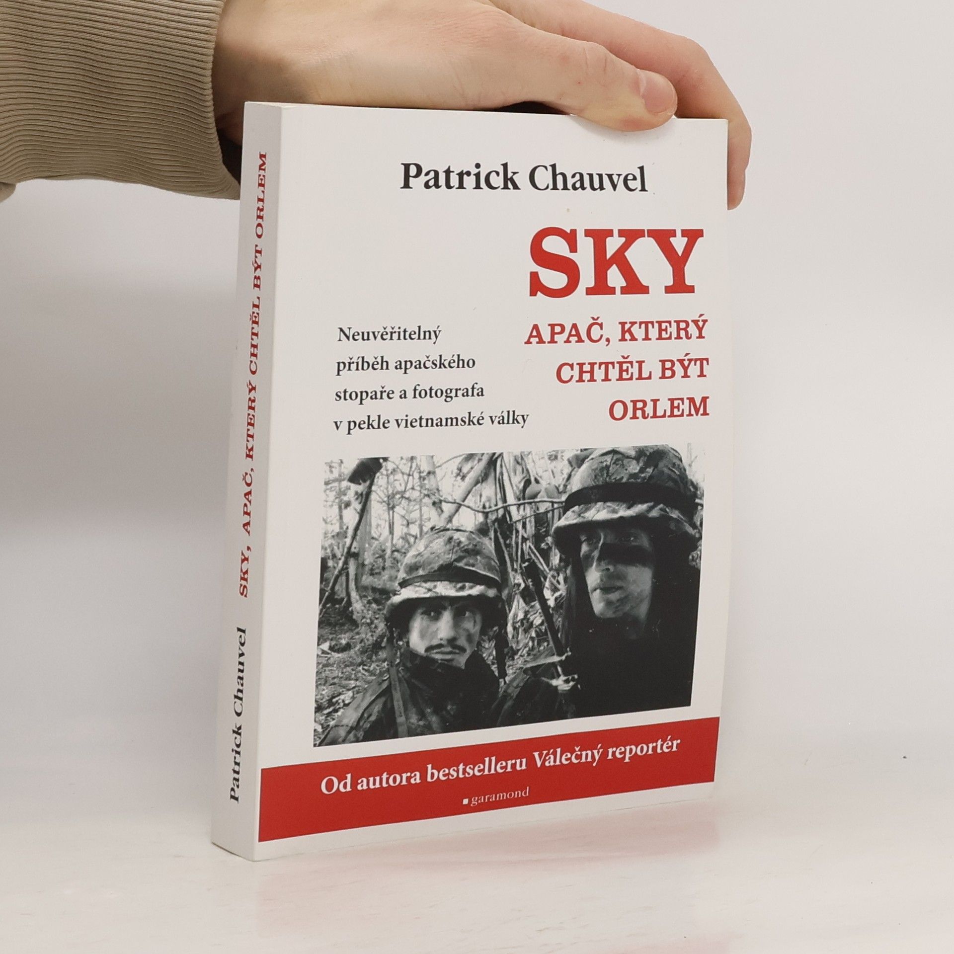 Patrick Chauvel Sky : Apač, který chtěl být orlem