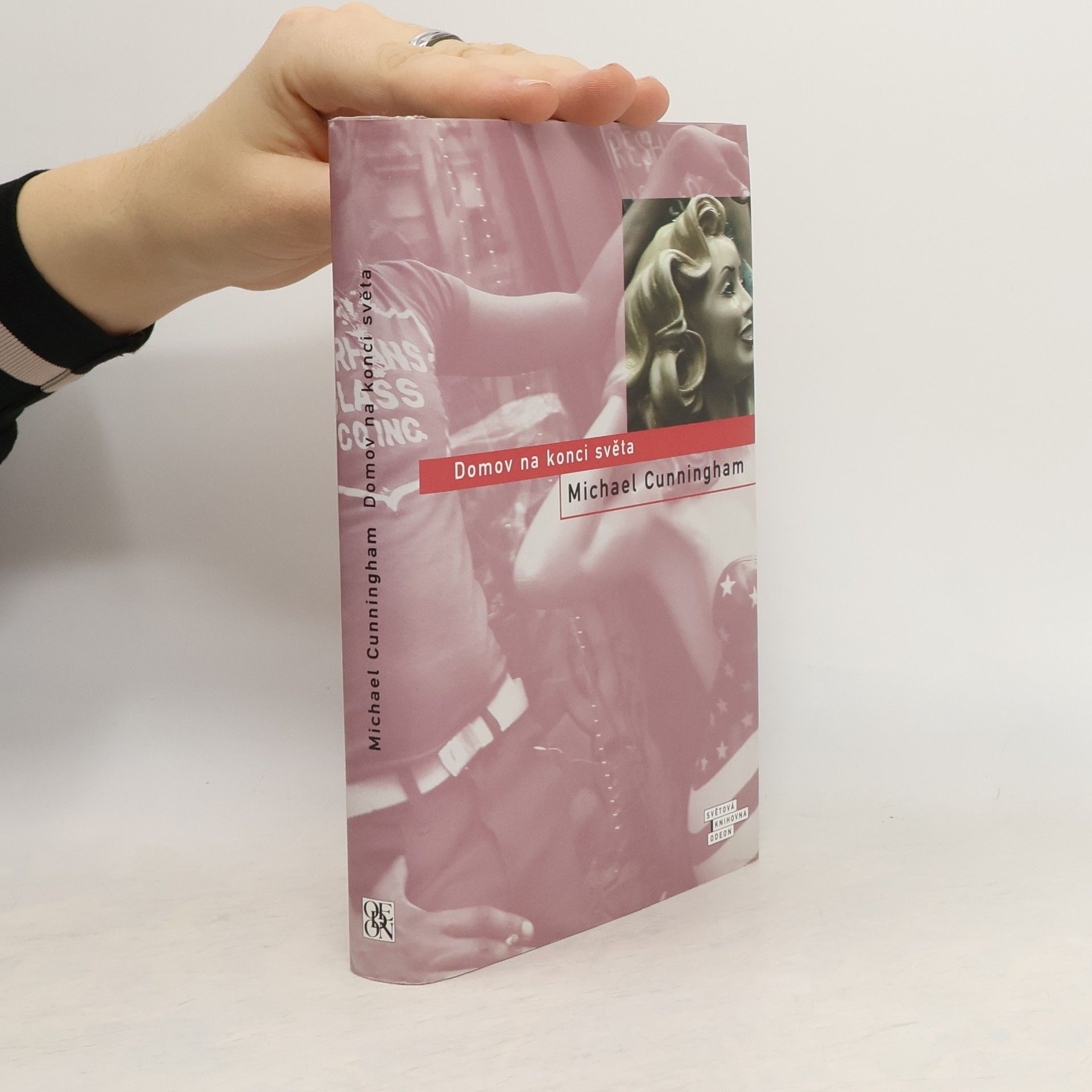 Michael Cunningham Domov na konci světa