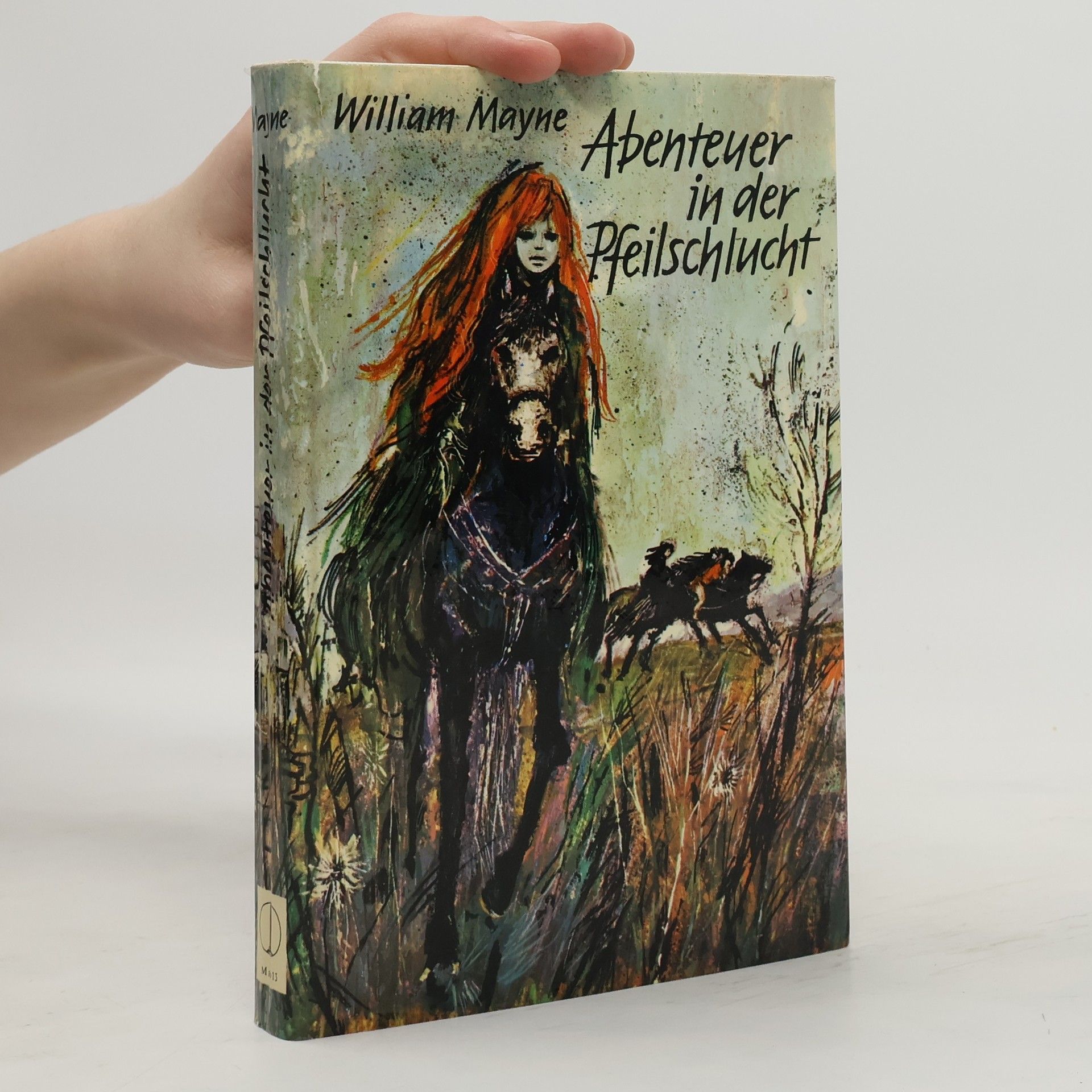 Abenteuer in der Pferdeschlucht