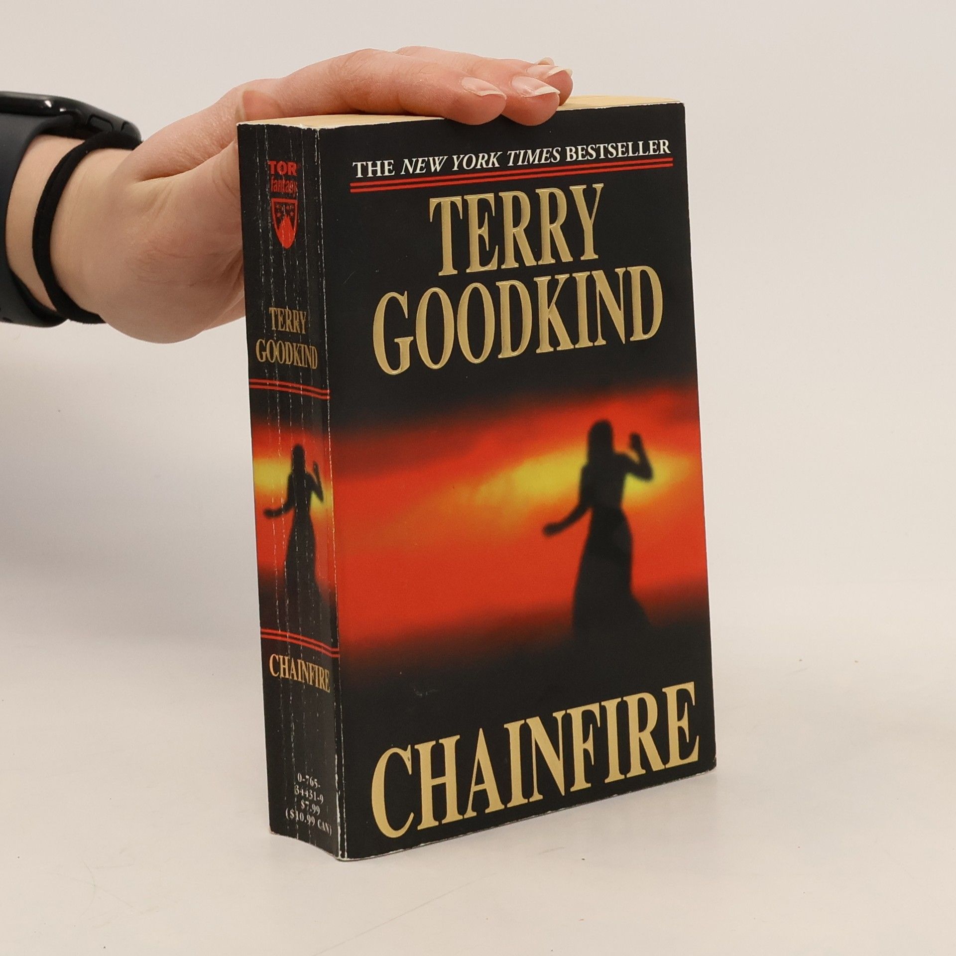 Terry Goodkind Chainfire