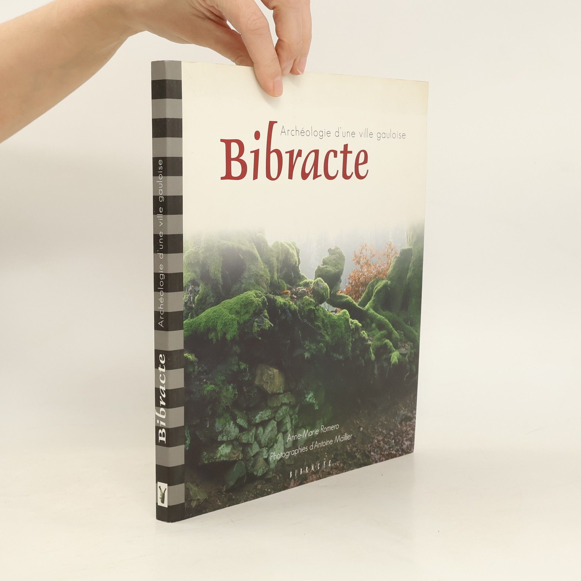 Anne-Marie Romero Bibracte, Archéologie d'une ville gauloise