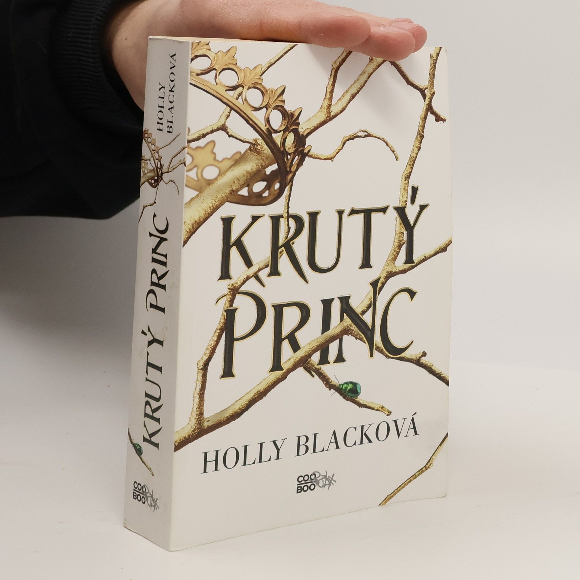 Holly Black Krutý princ