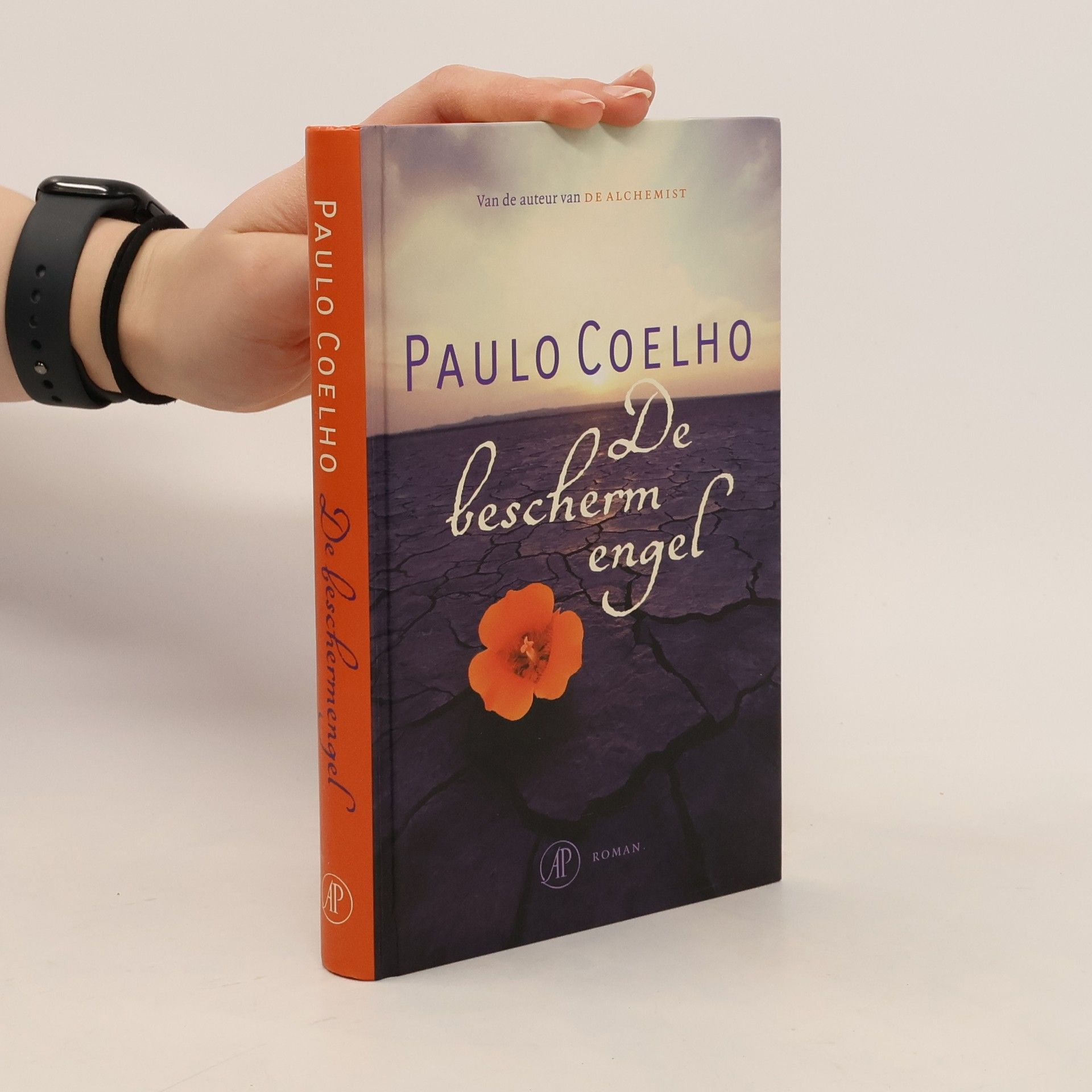 De beschermengel / druk 1