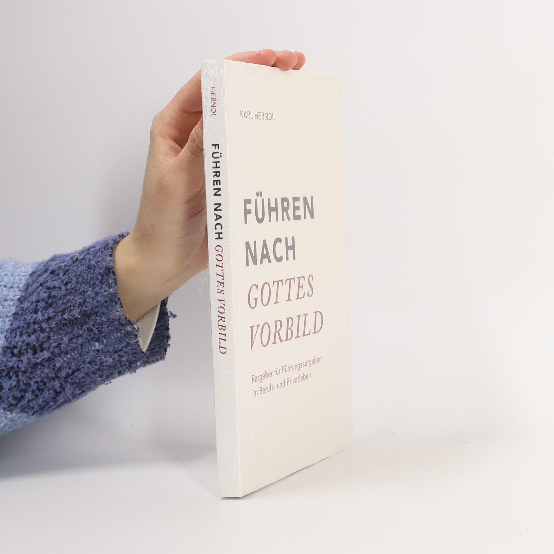 Führen nach Gottes Vorbild