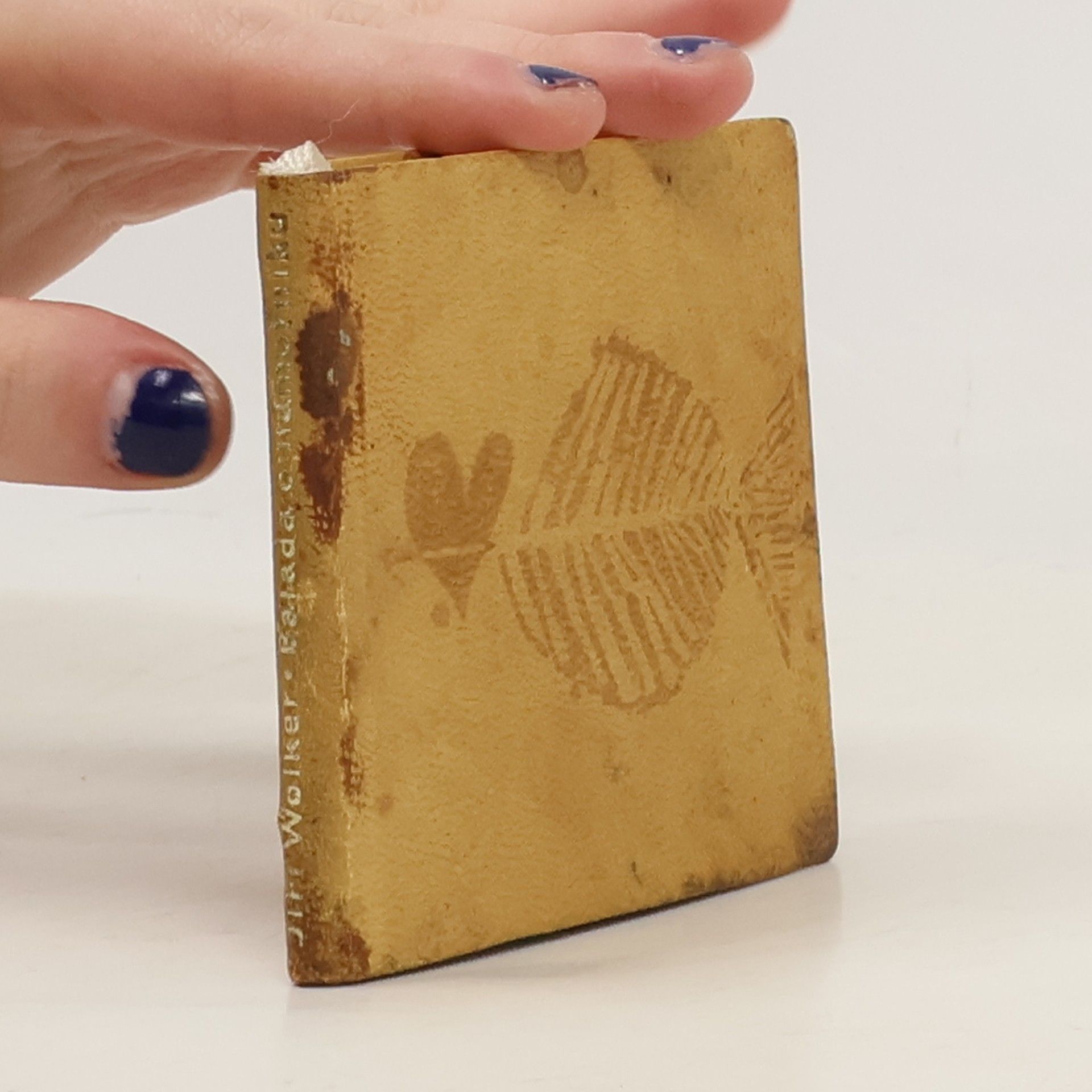 Jiří Wolker Balada o námořníku