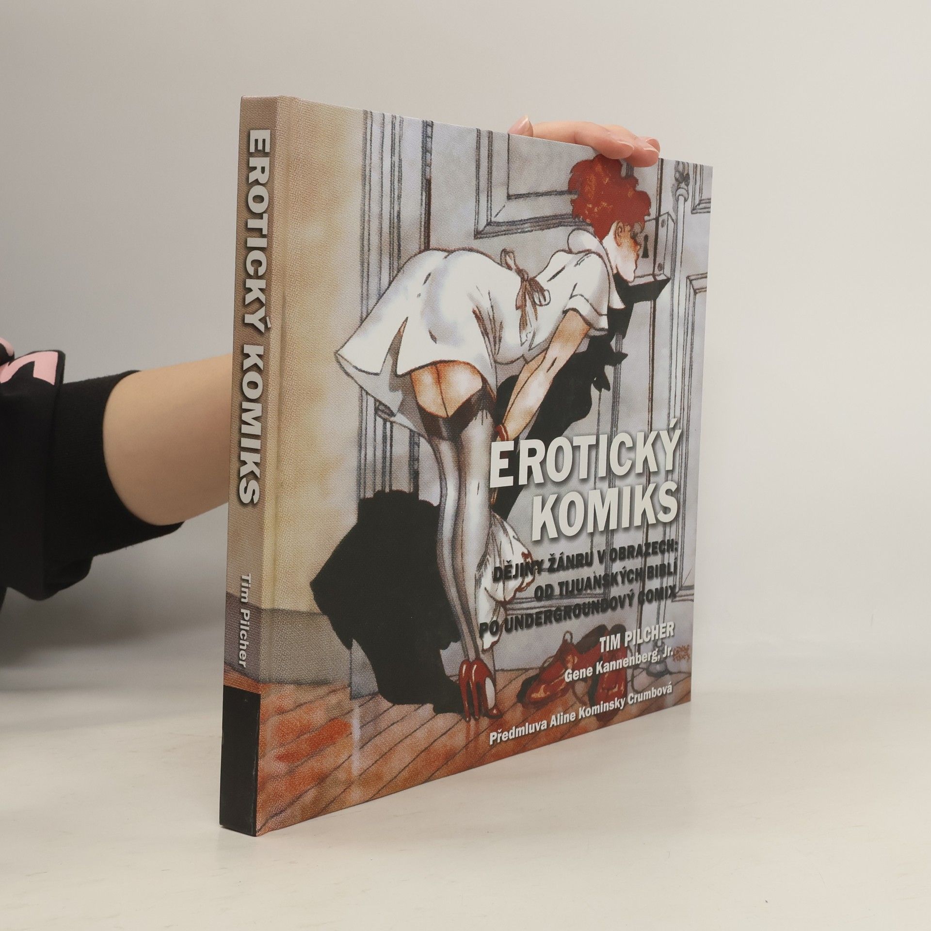 Tim Pilcher Erotický komiks: Dějiny žánru v obrazech