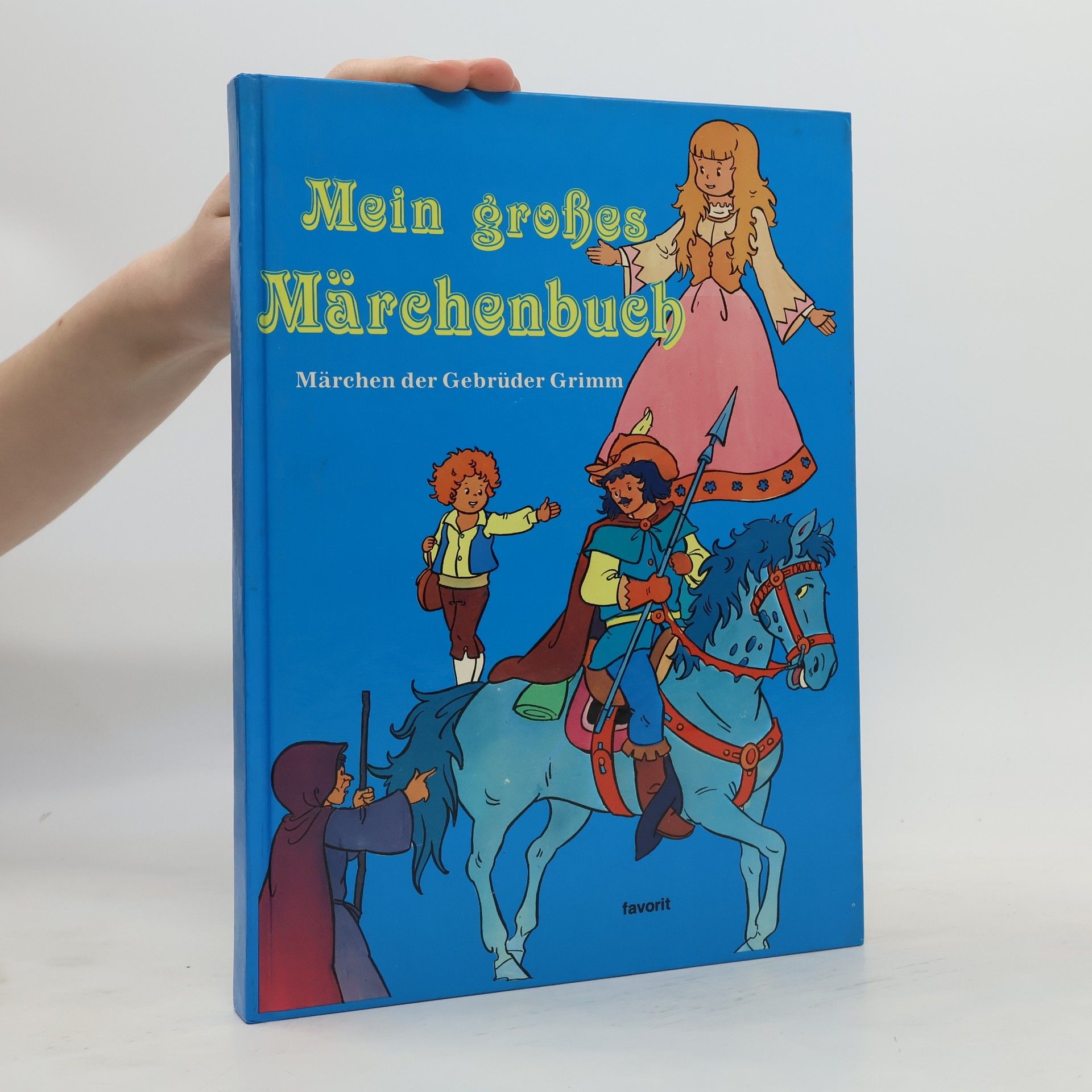 bratři Grimmové Mein großes Märchenbuch