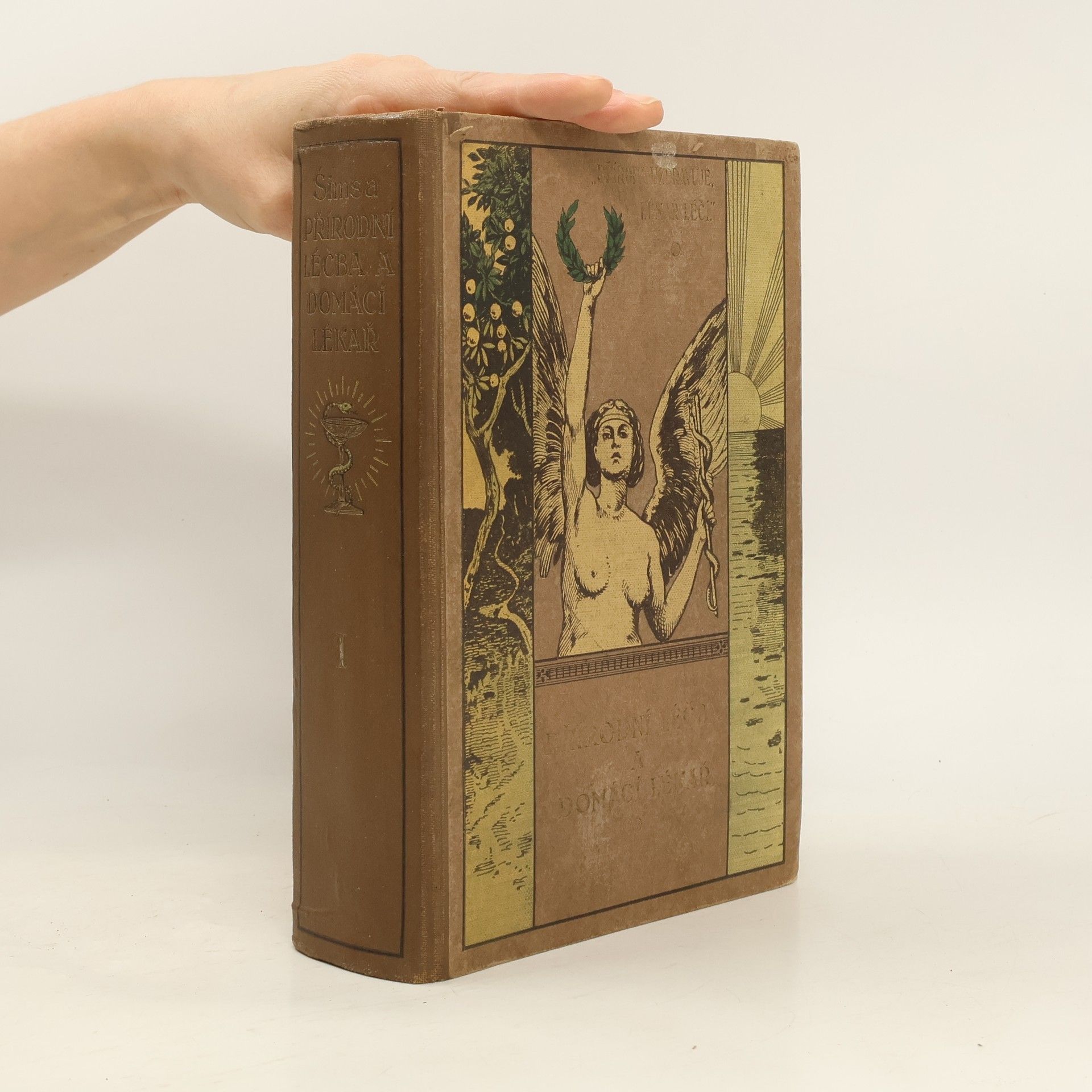 Jan Šimsa Přírodní léčba a domácí lékař I.