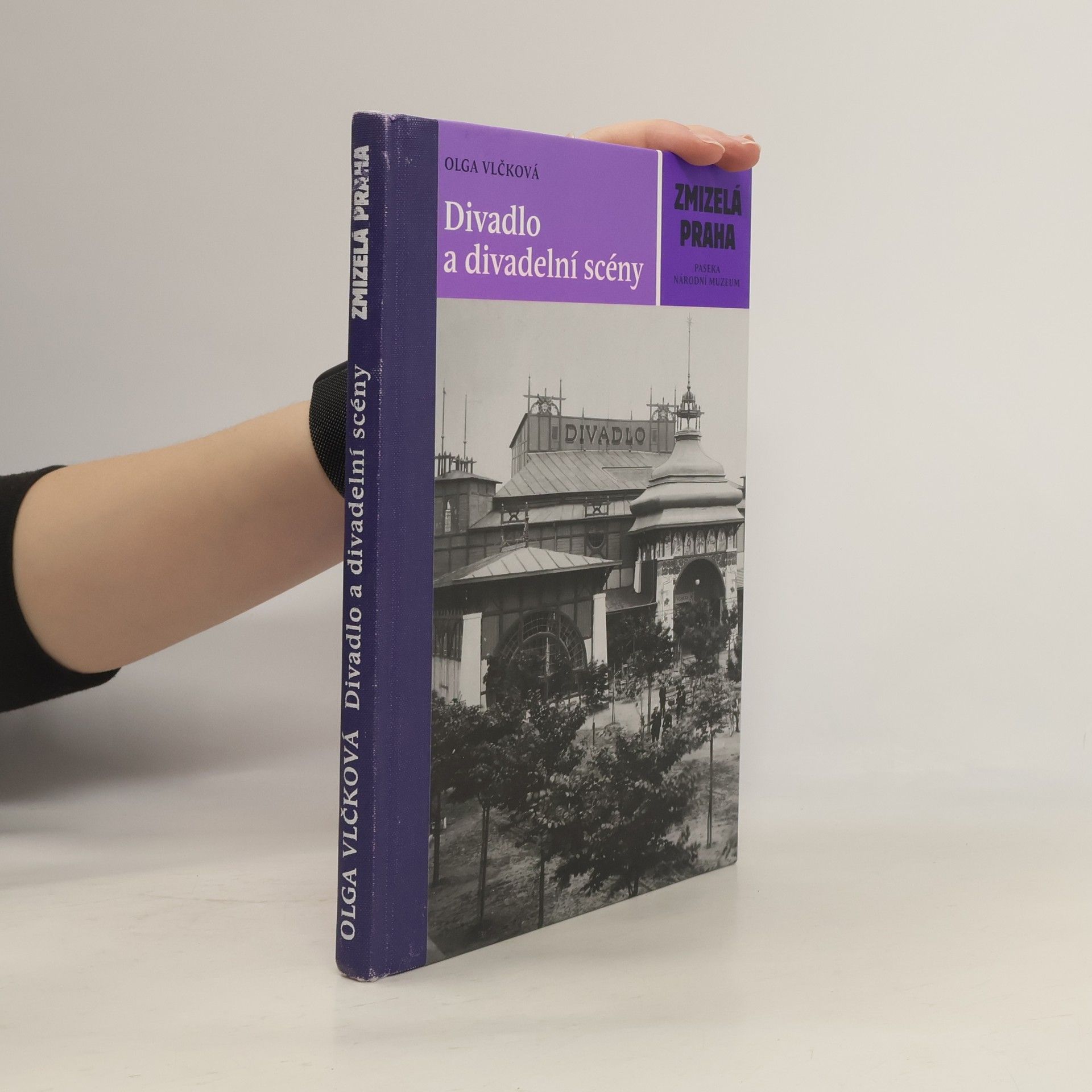 Olga Vlčková Divadlo a divadelní scény