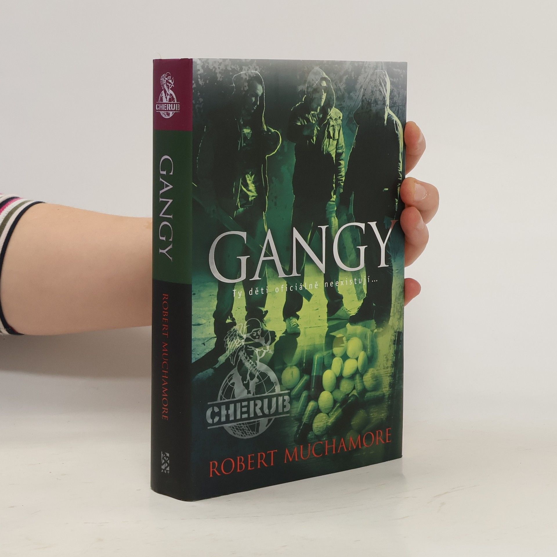 Robert Muchamore Gangy