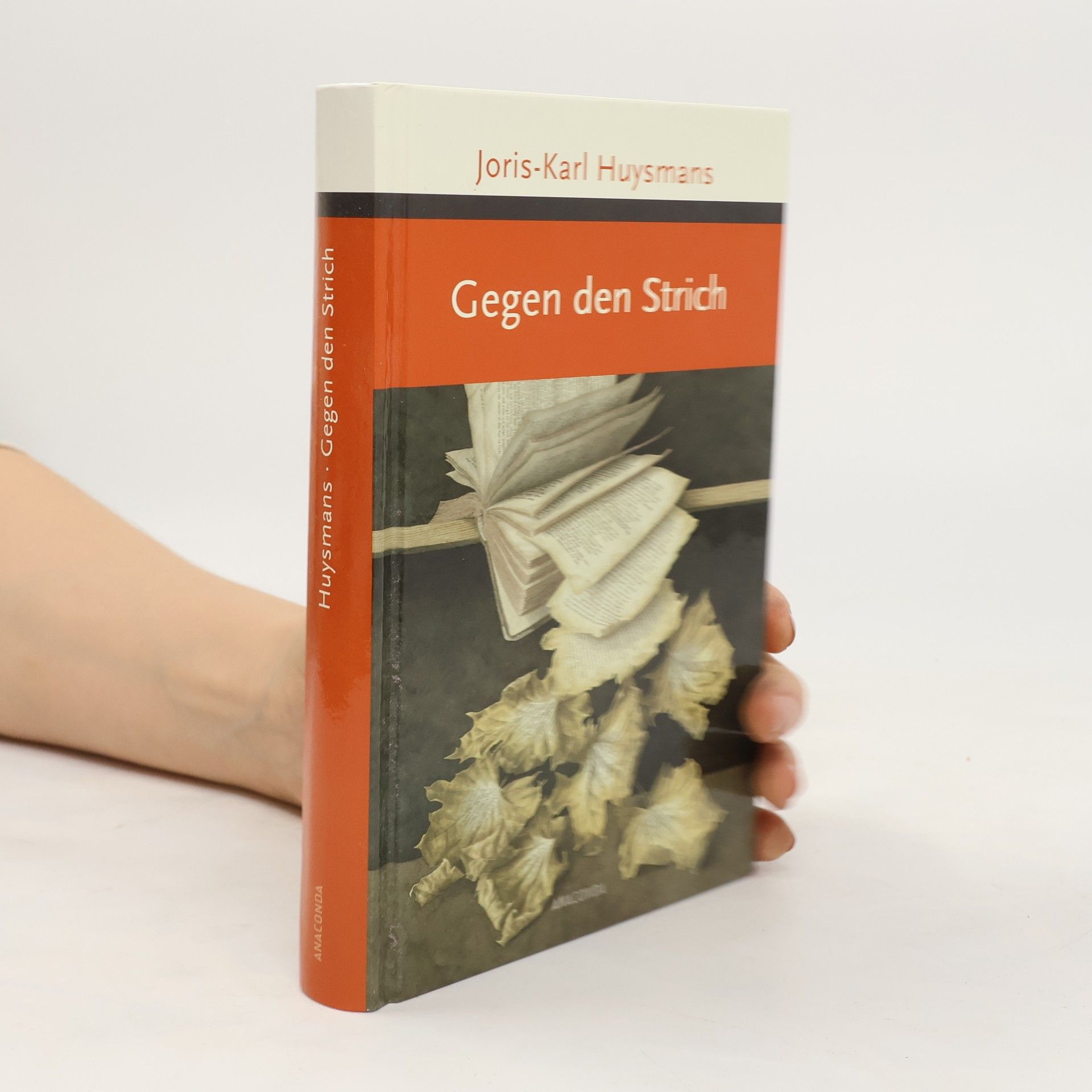 Joris-Karl Huysmans Gegen den Strich