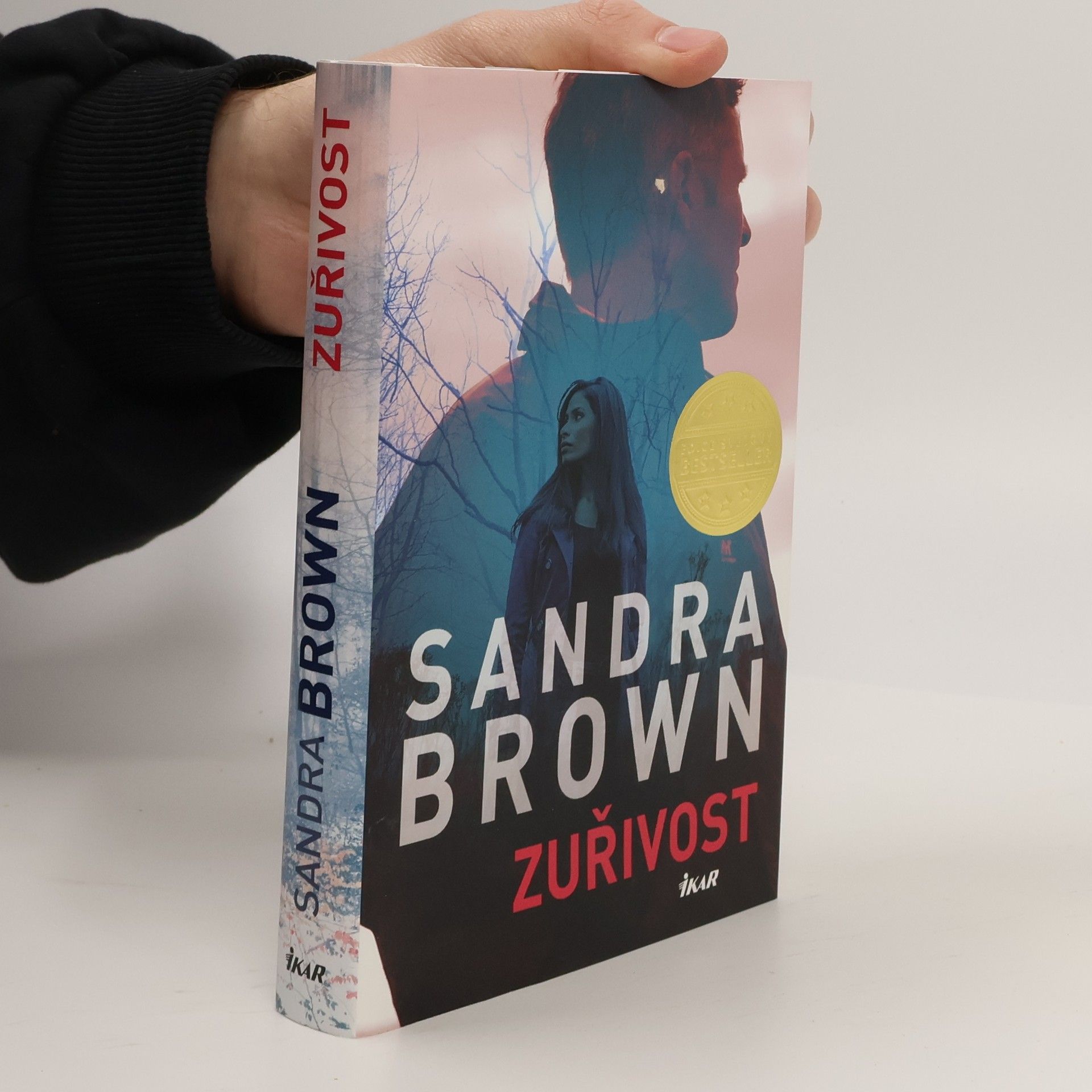 Sandra Brown Zuřivost