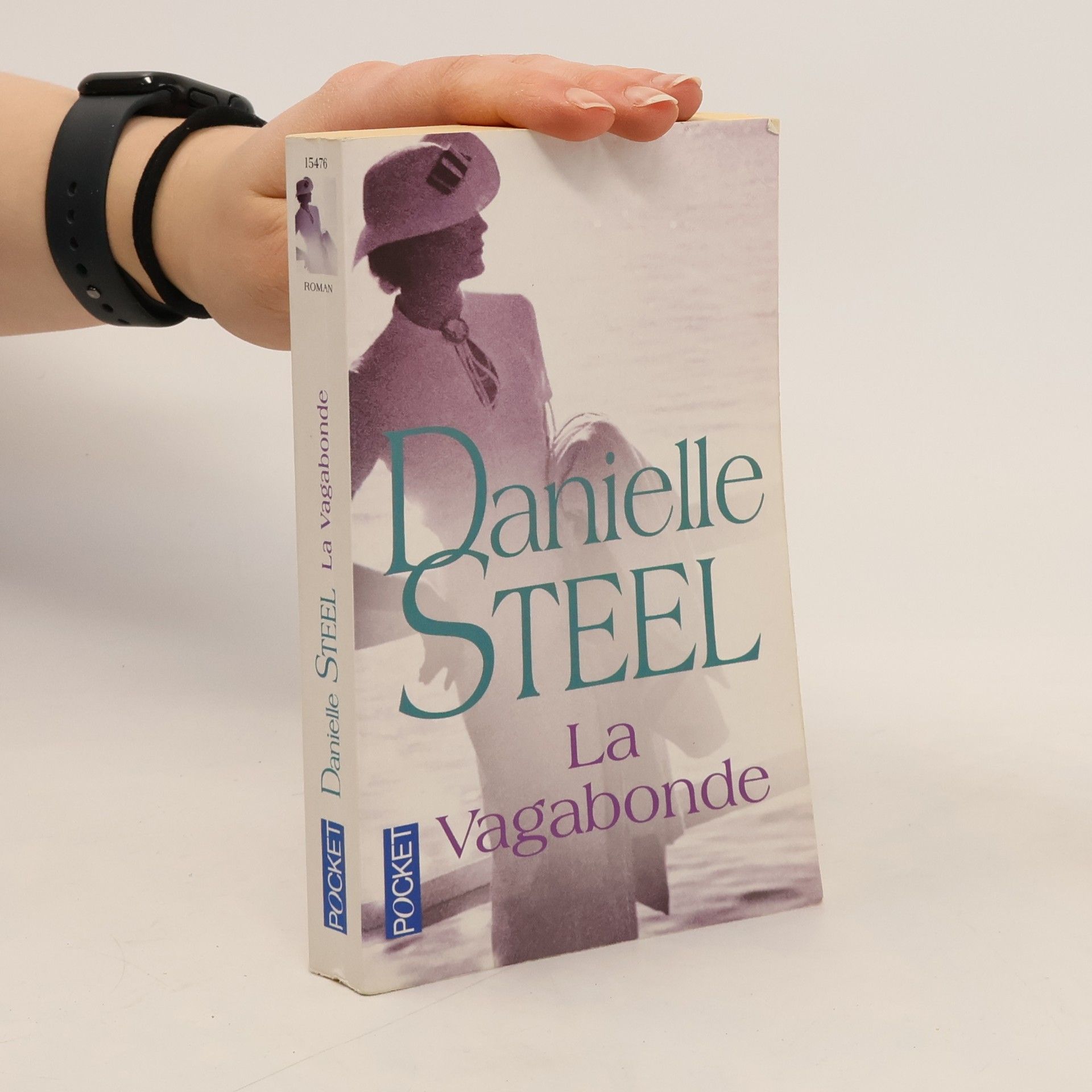 Danielle Steelová La vagabonde