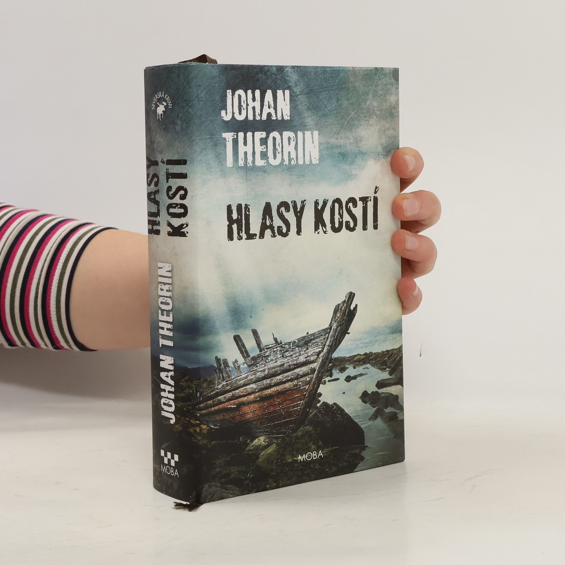 Johan Theorin Hlasy kostí