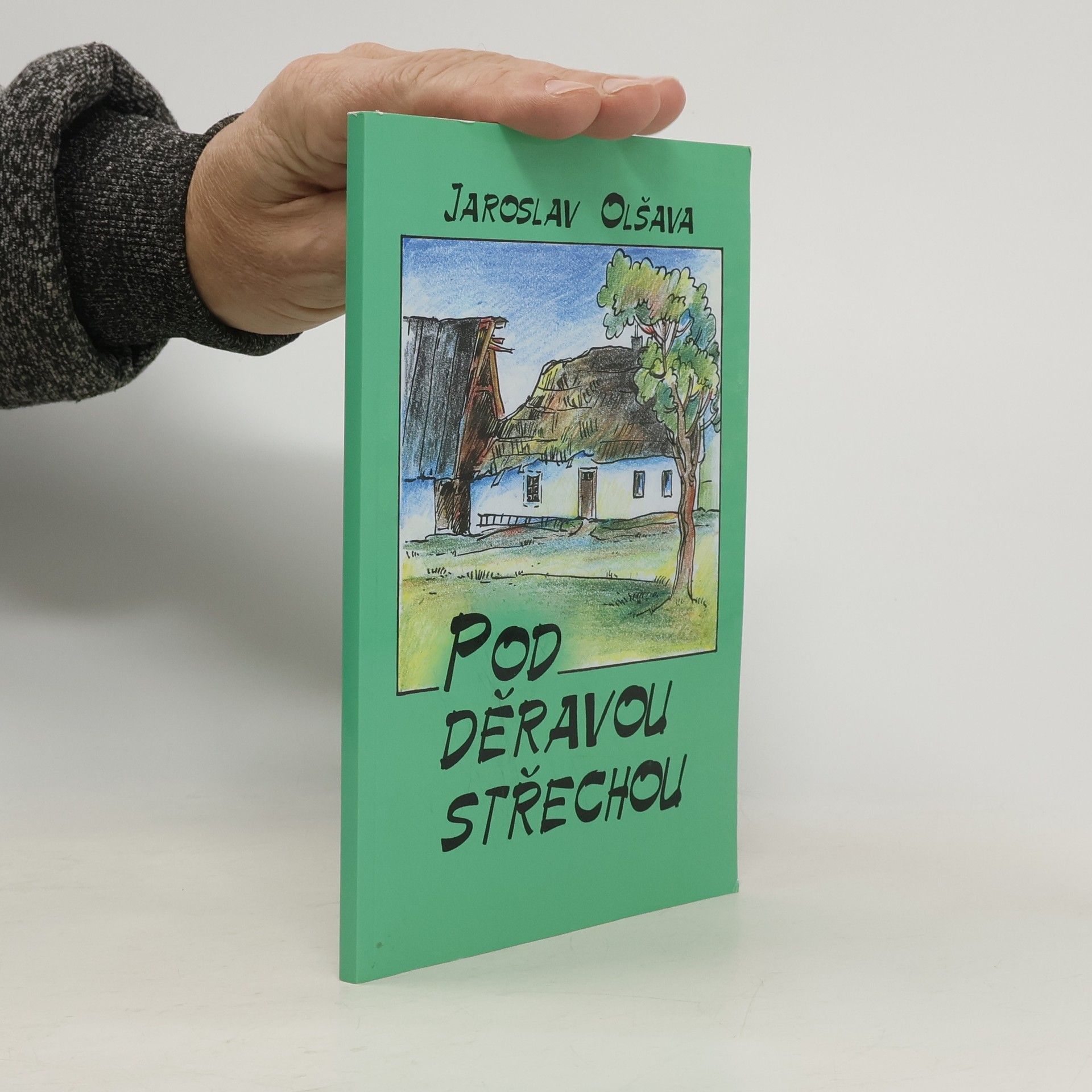 Pod děravou střechou