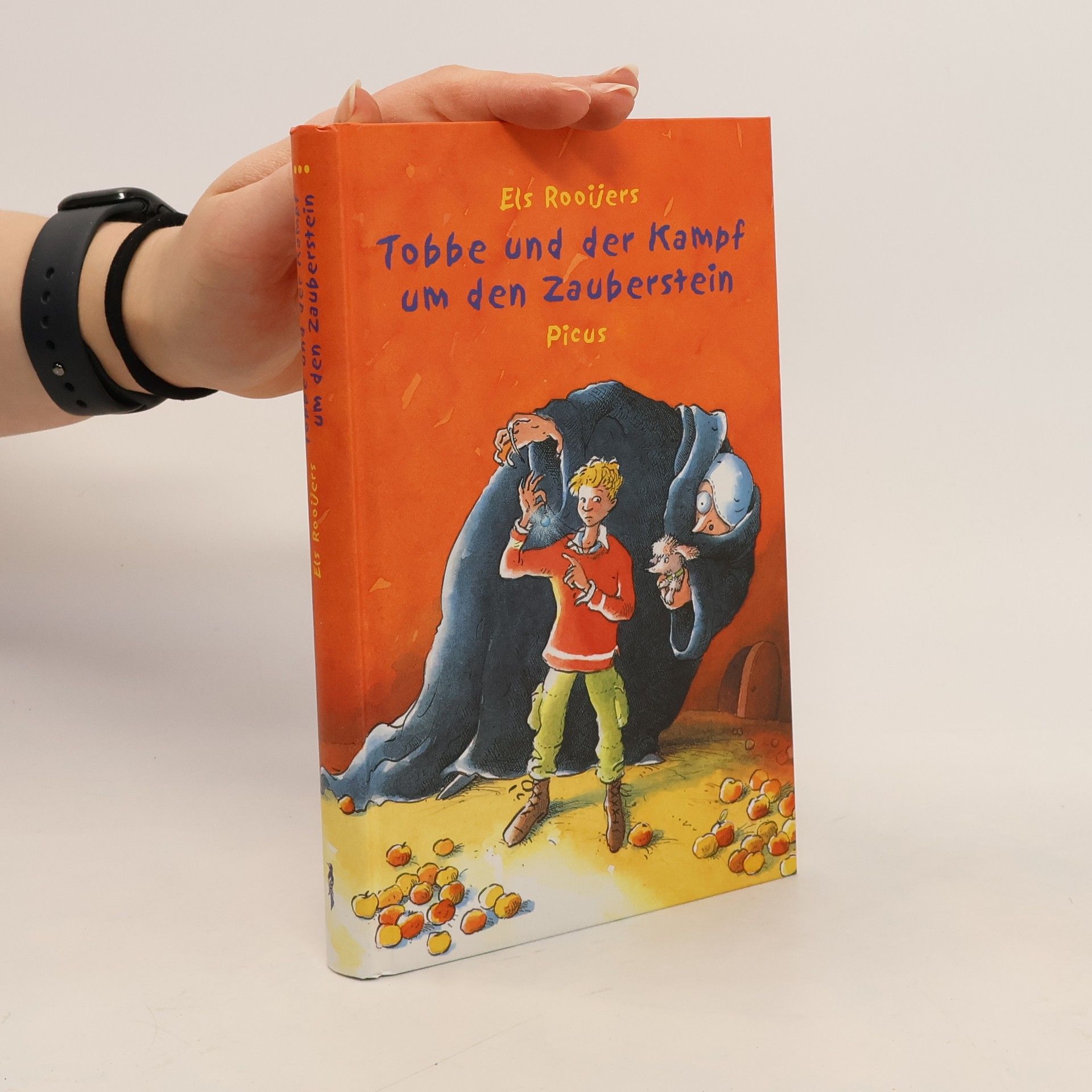 Els Rooijers Tobbe und der Kampf um den Zauberstein