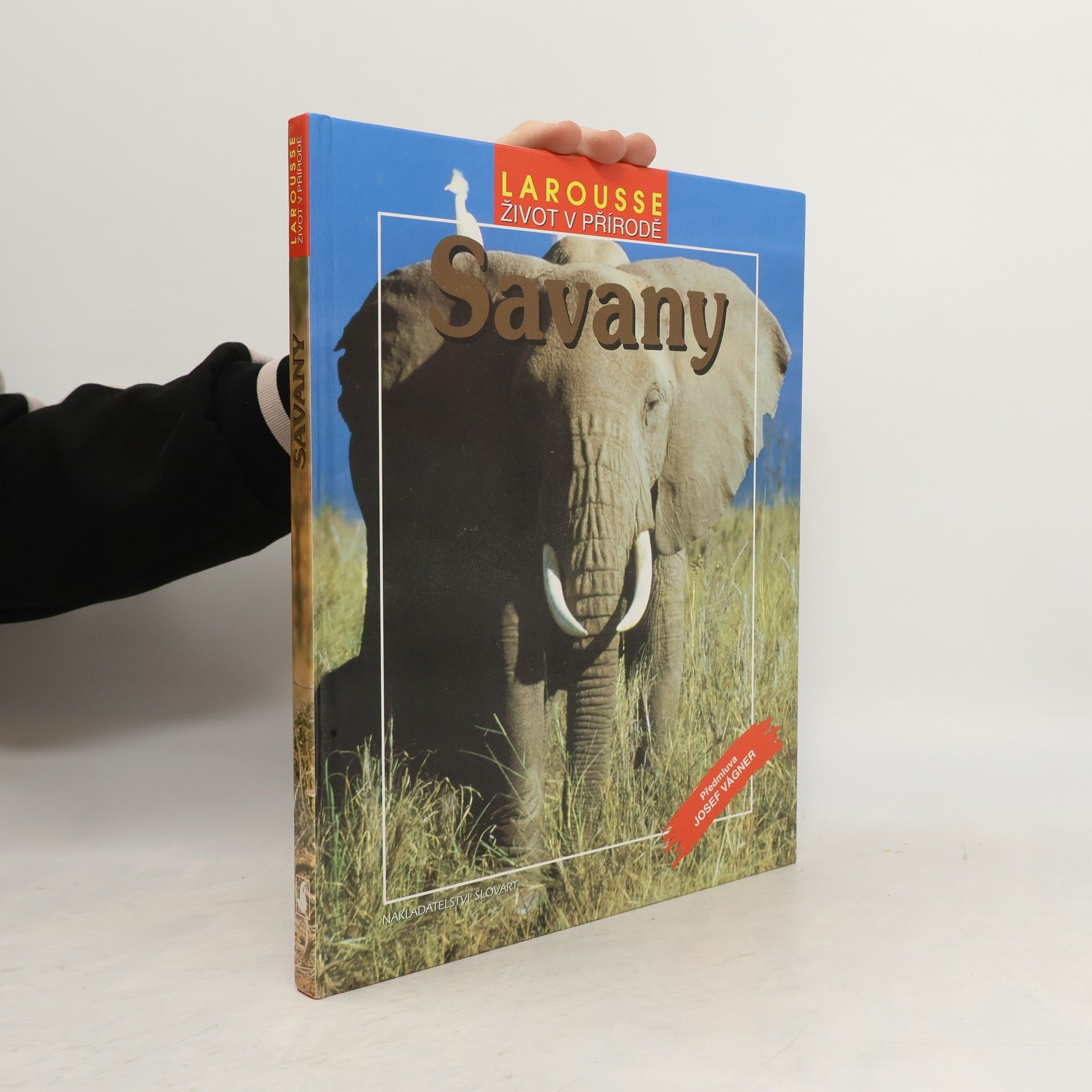 Šárka Belisová Savany