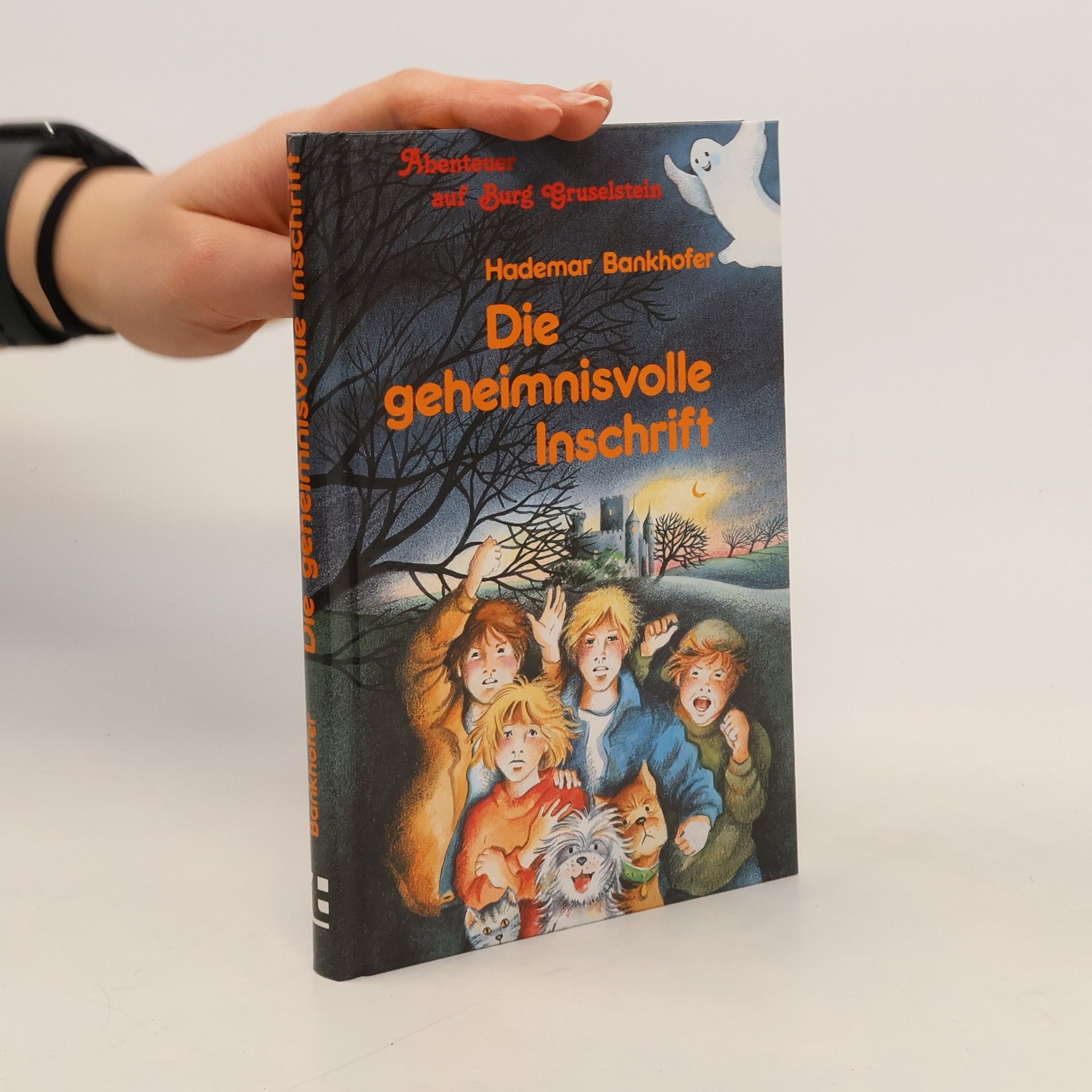 Hademar Bankhofer Die geheimnisvolle Inschrift