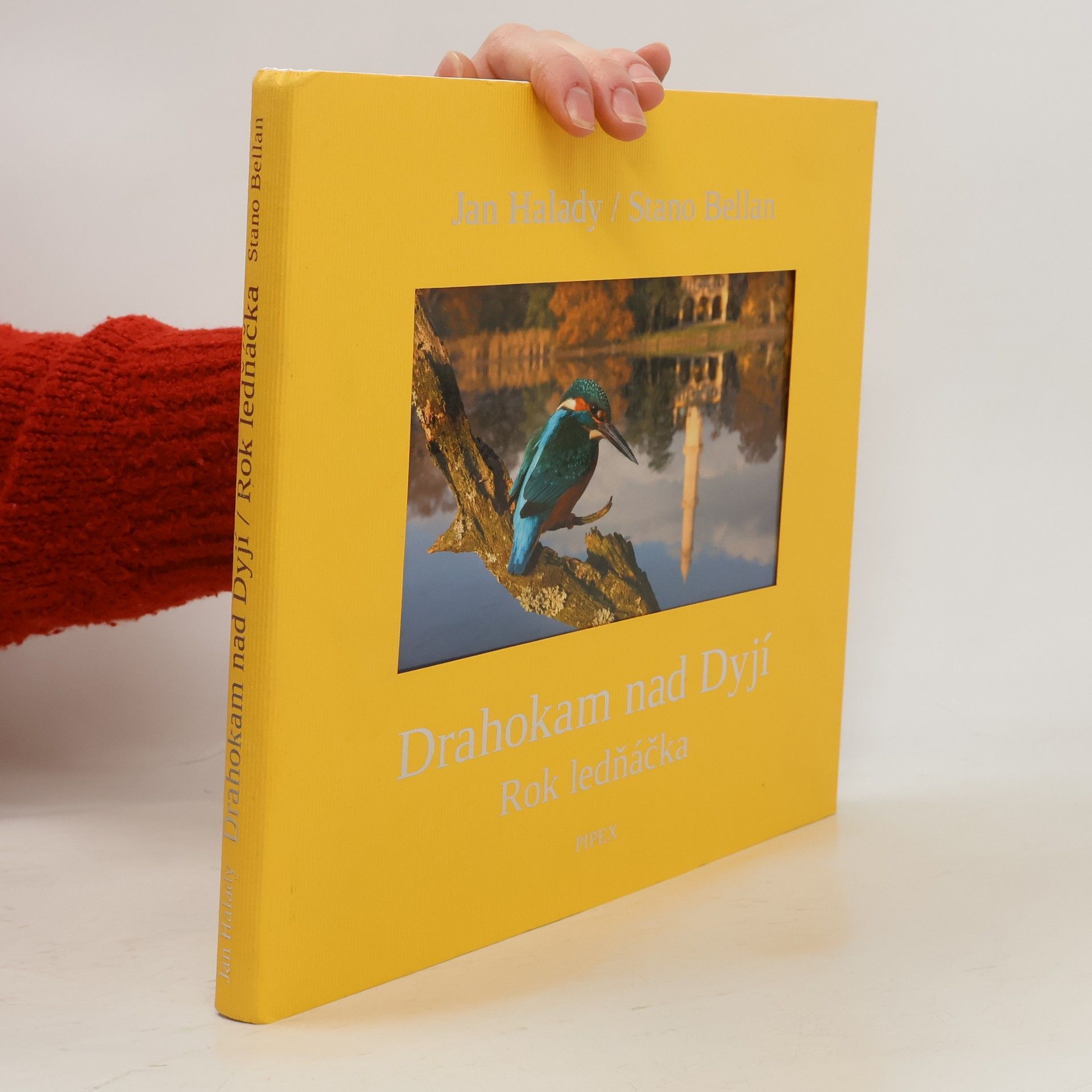 Stano Bellan Drahokam nad Dyjí Rok ledňáčka