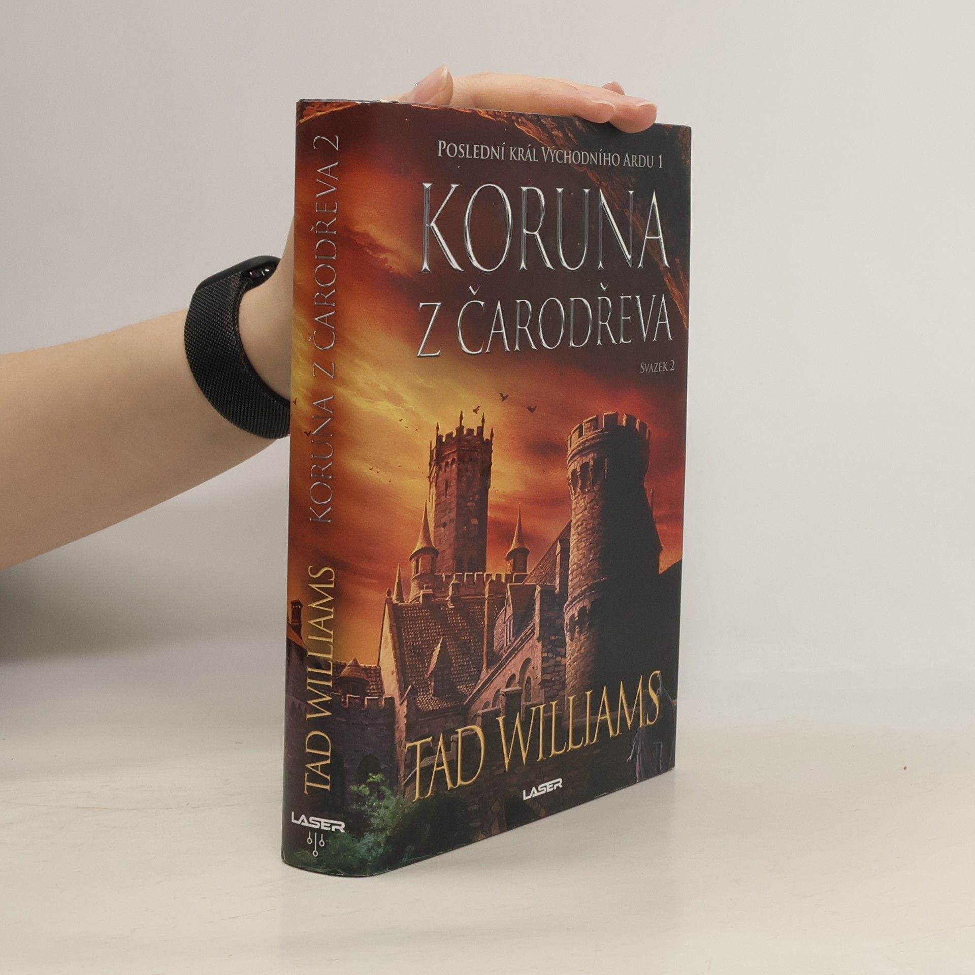 Tad Williams Koruna z čarodřeva – Svazek 2