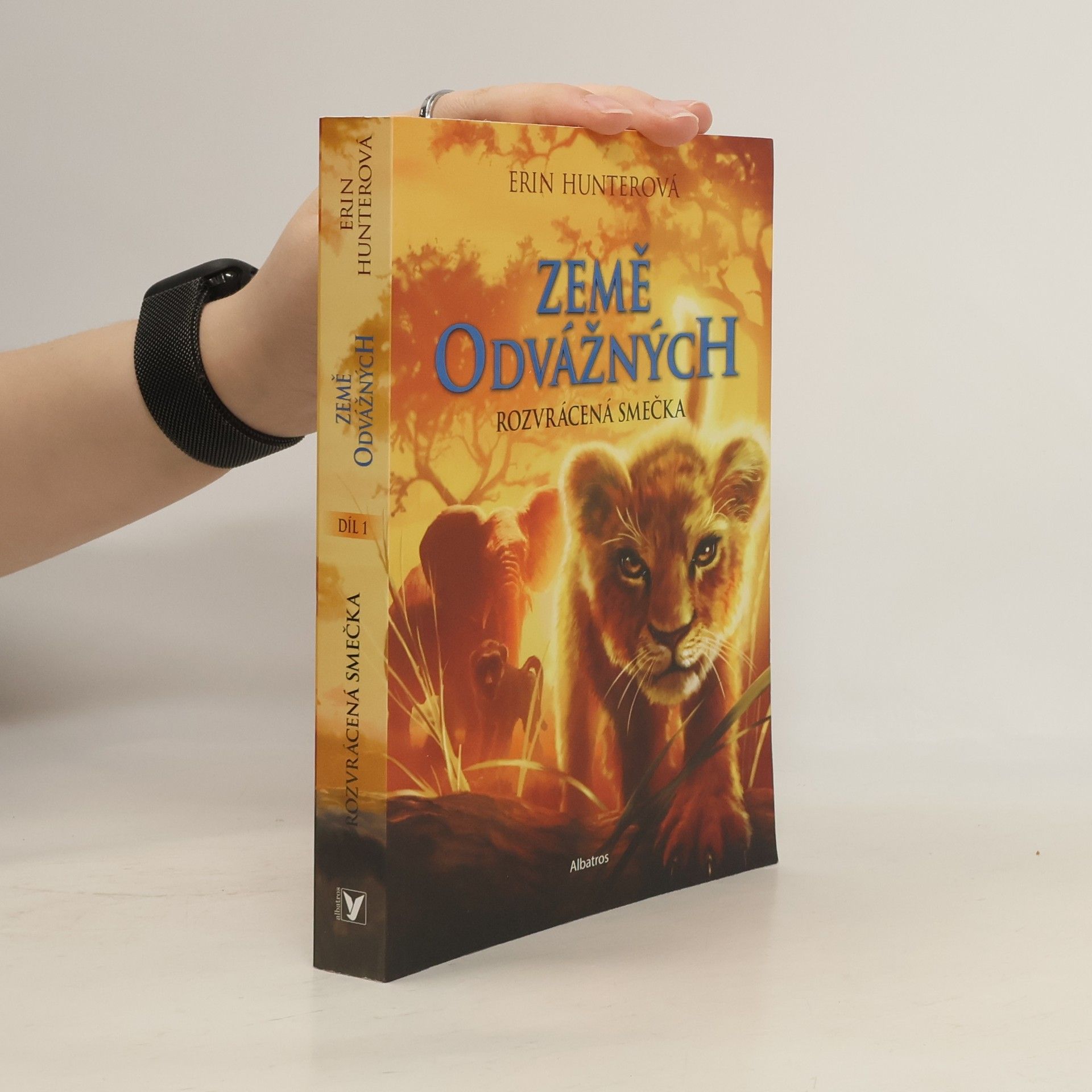 Erin Hunter Rozvrácená smečka