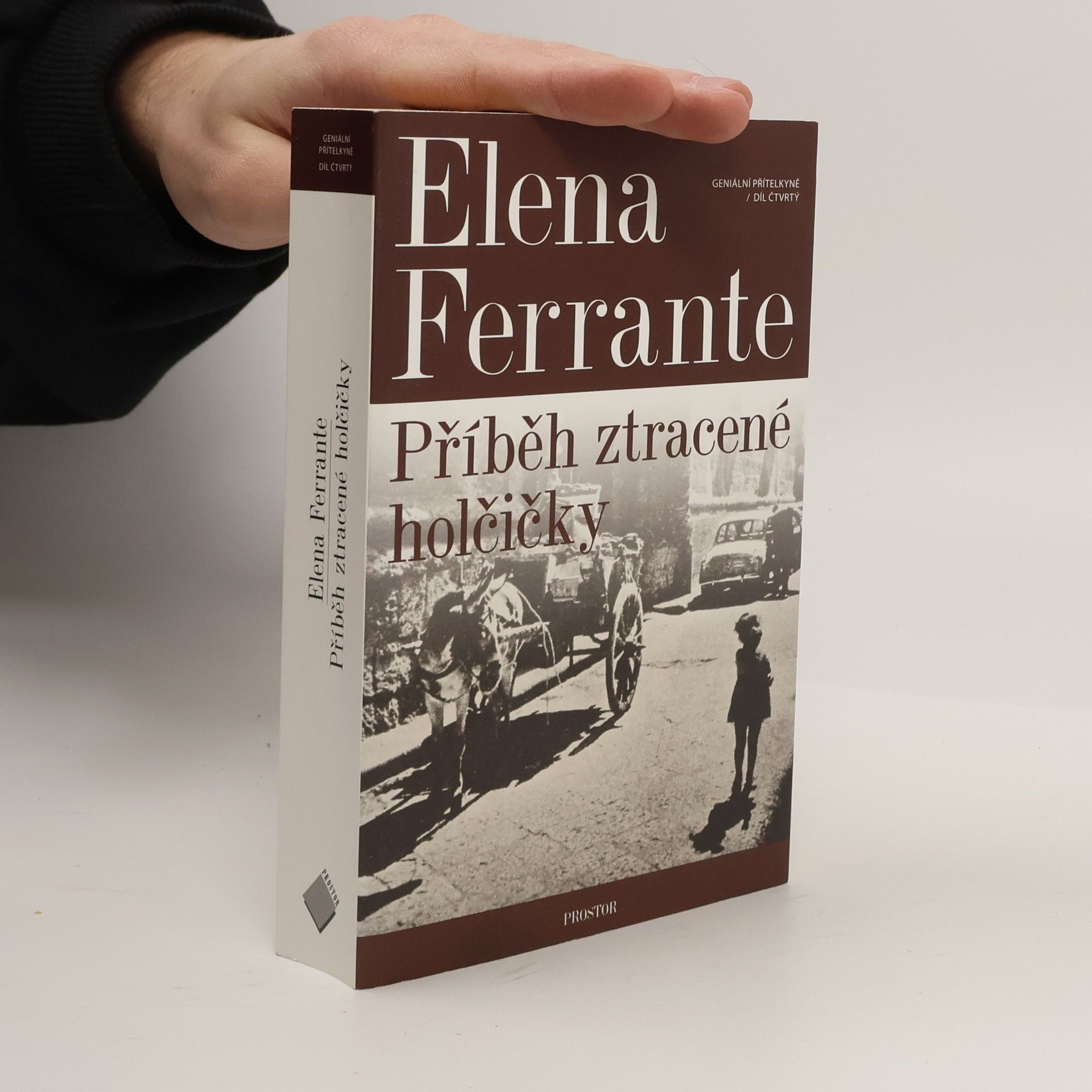 Elena Ferrante Příběh ztracené holčičky. Geniální přítelkyně. 4. díl