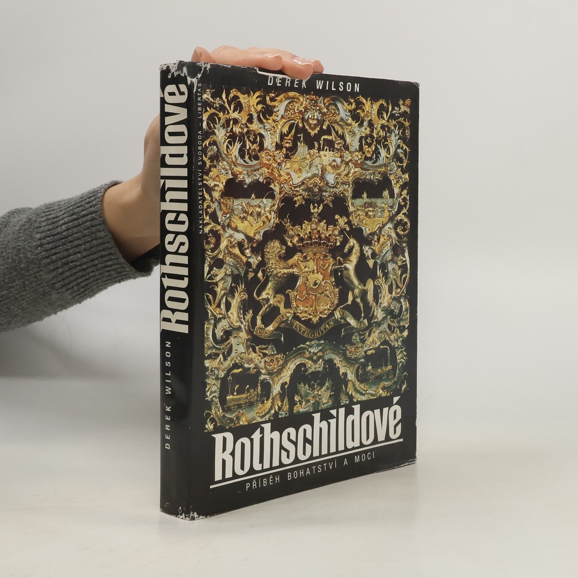 Derek A. Wilson Rothschildové. Příběh bohatství a moci