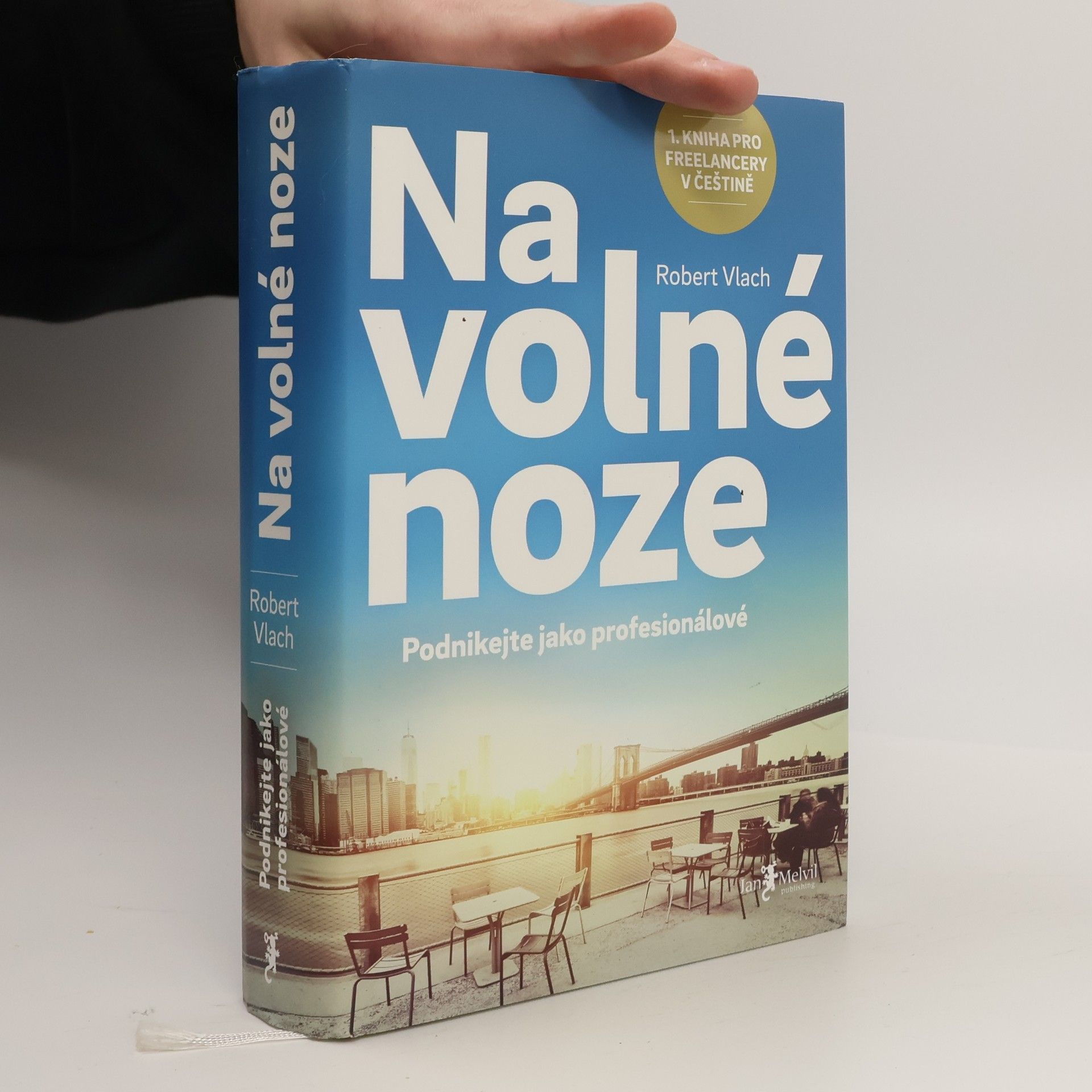 Robert Vlach (podnikatel) Na volné noze