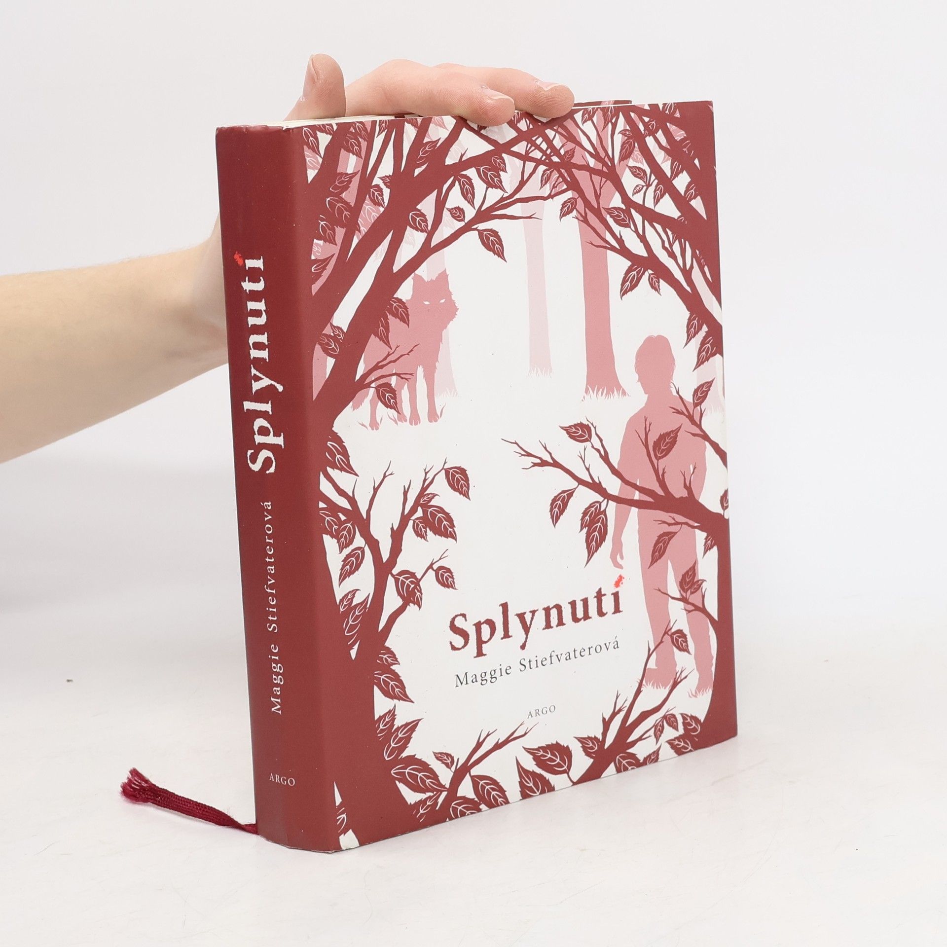 Maggie Stiefvater Splynutí