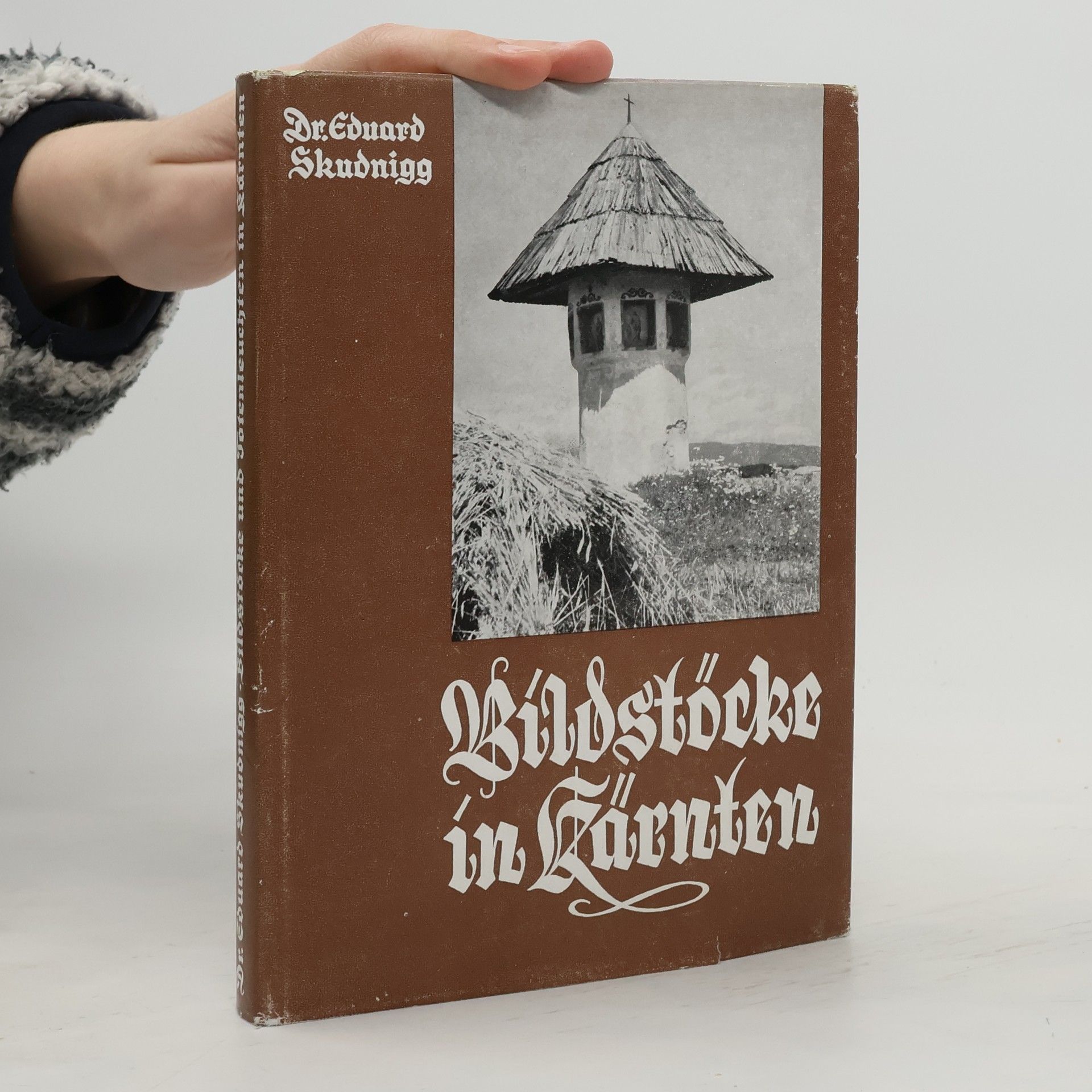 Eduard Skudnigg Bildstöcke in Kärnten