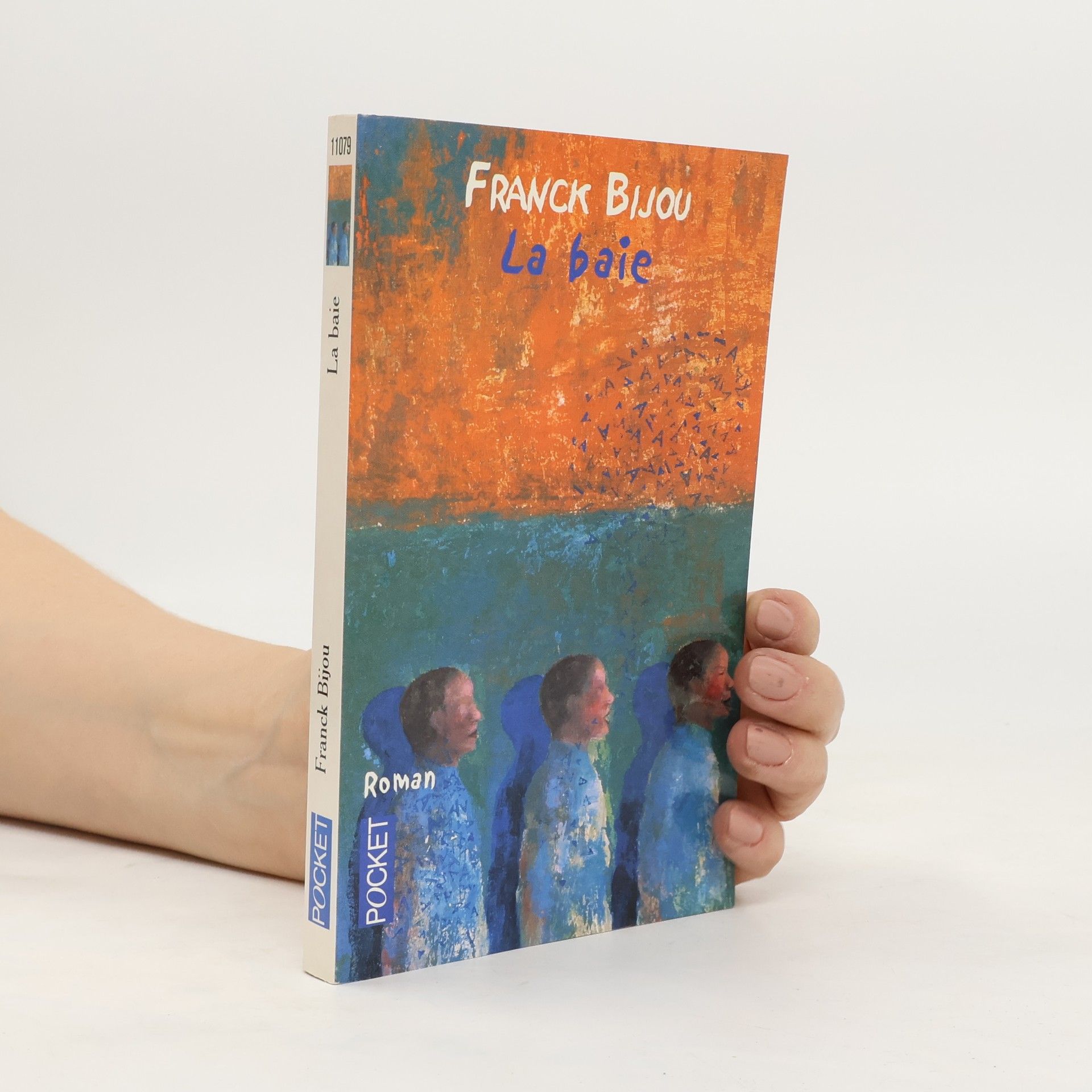 Franck Bijou La baie