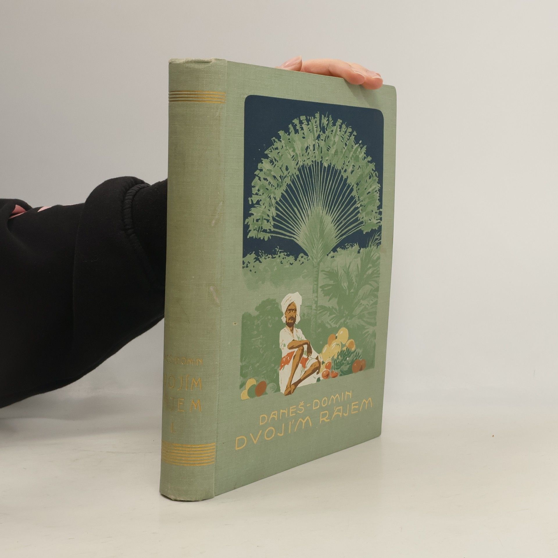 Dvojím rájem. Díl první, Cesta na Jávu a po Jávě