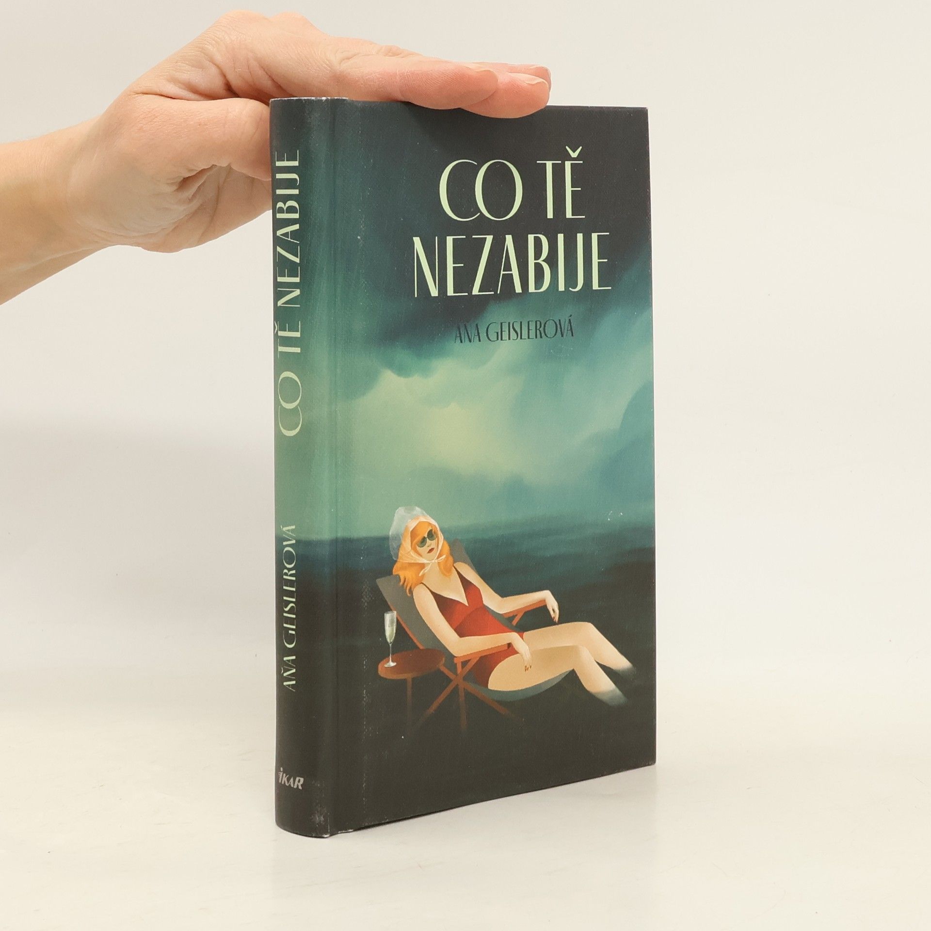 Aňa Geislerová Co tě nezabije