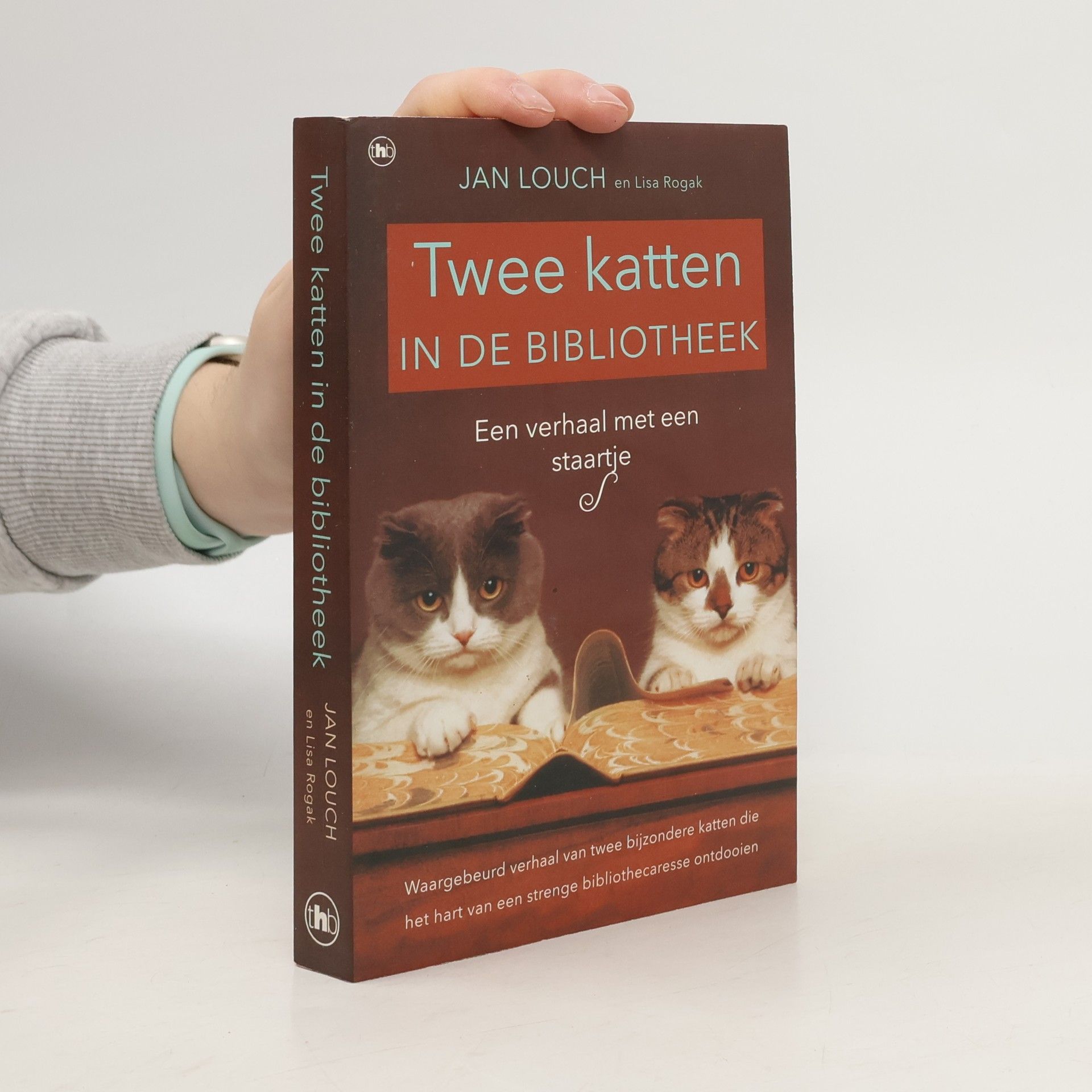 Jan Louch Twee katten in de bibliotheek