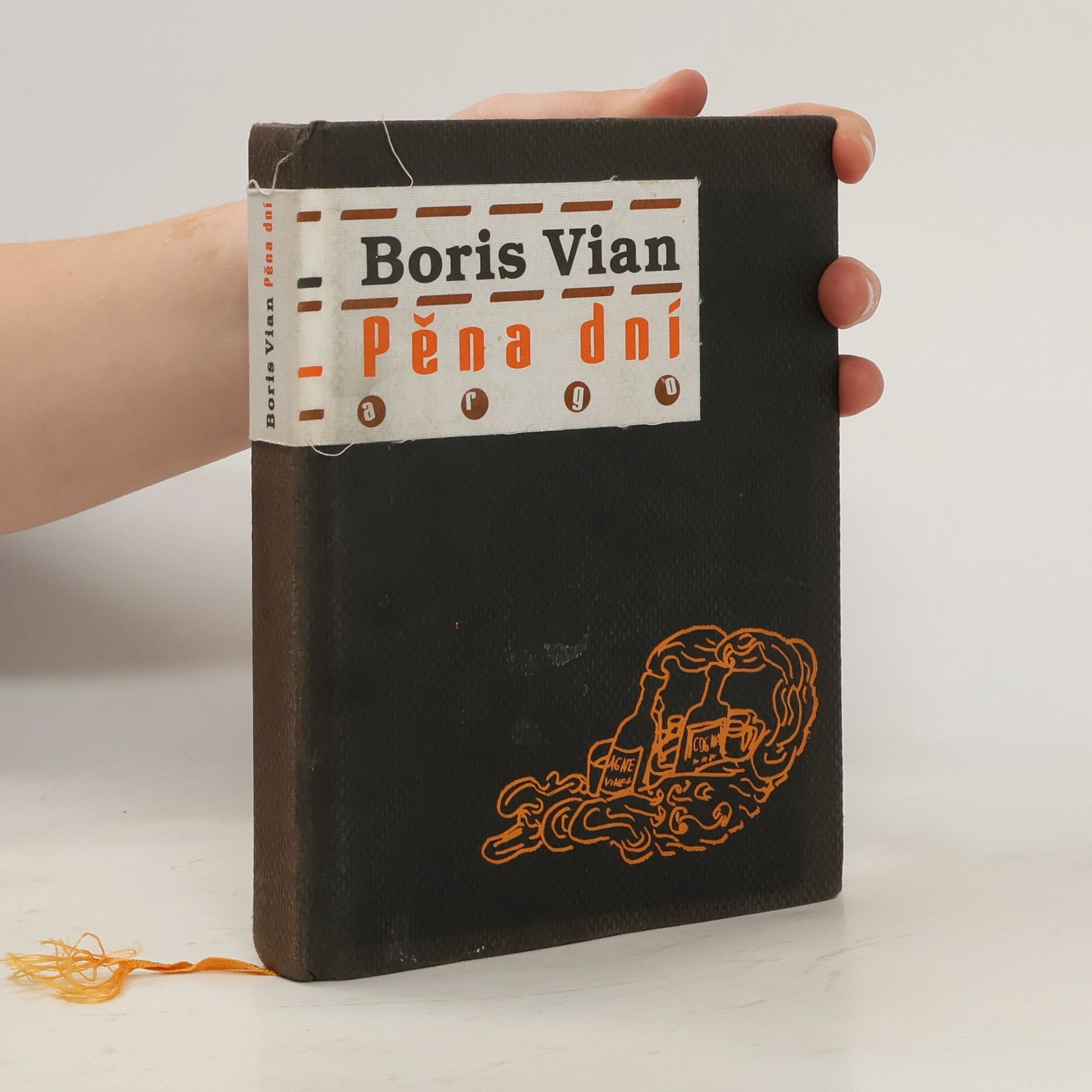 Boris Vian Pěna dní