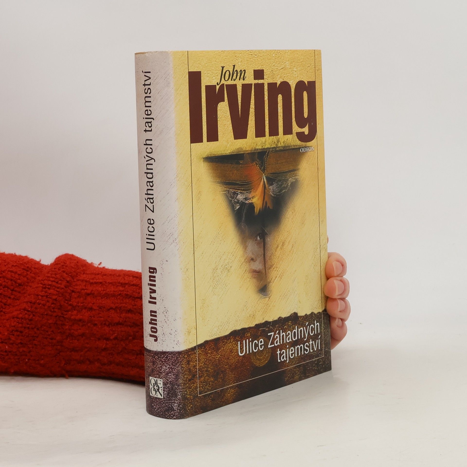 John Irving Ulice Záhadných tajemství