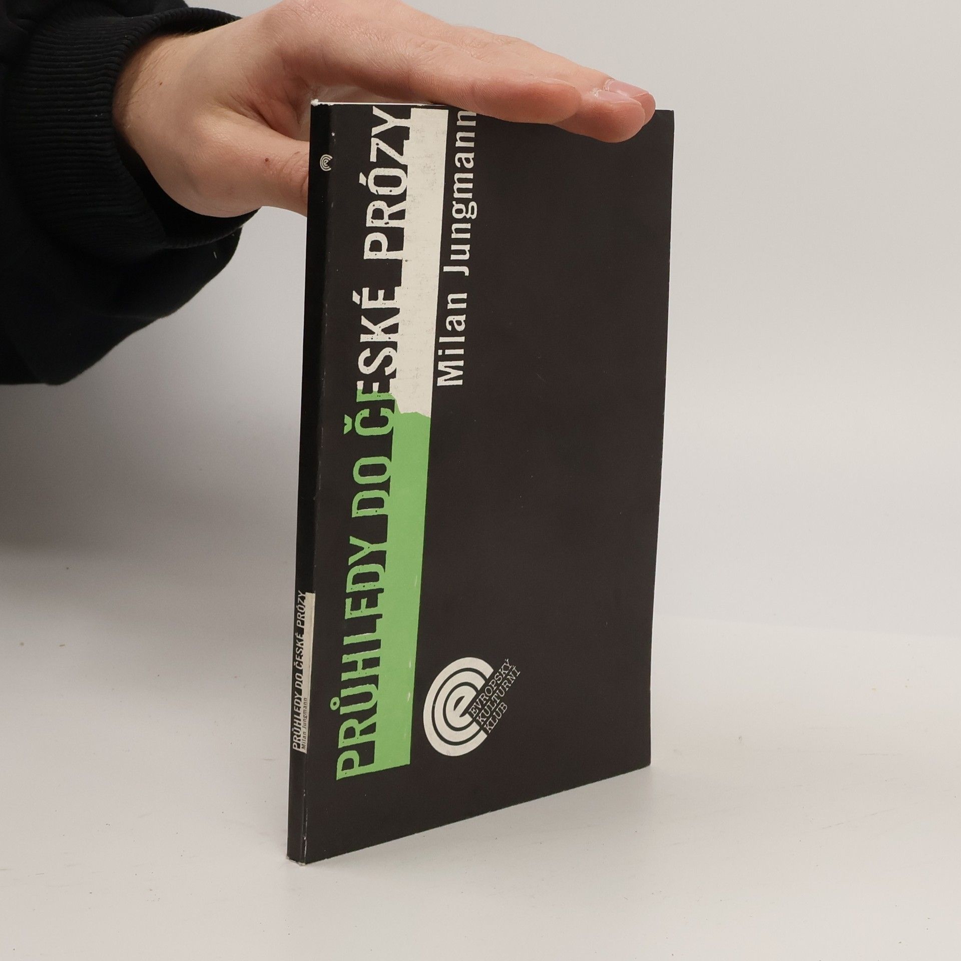 Průhledy do české prózy