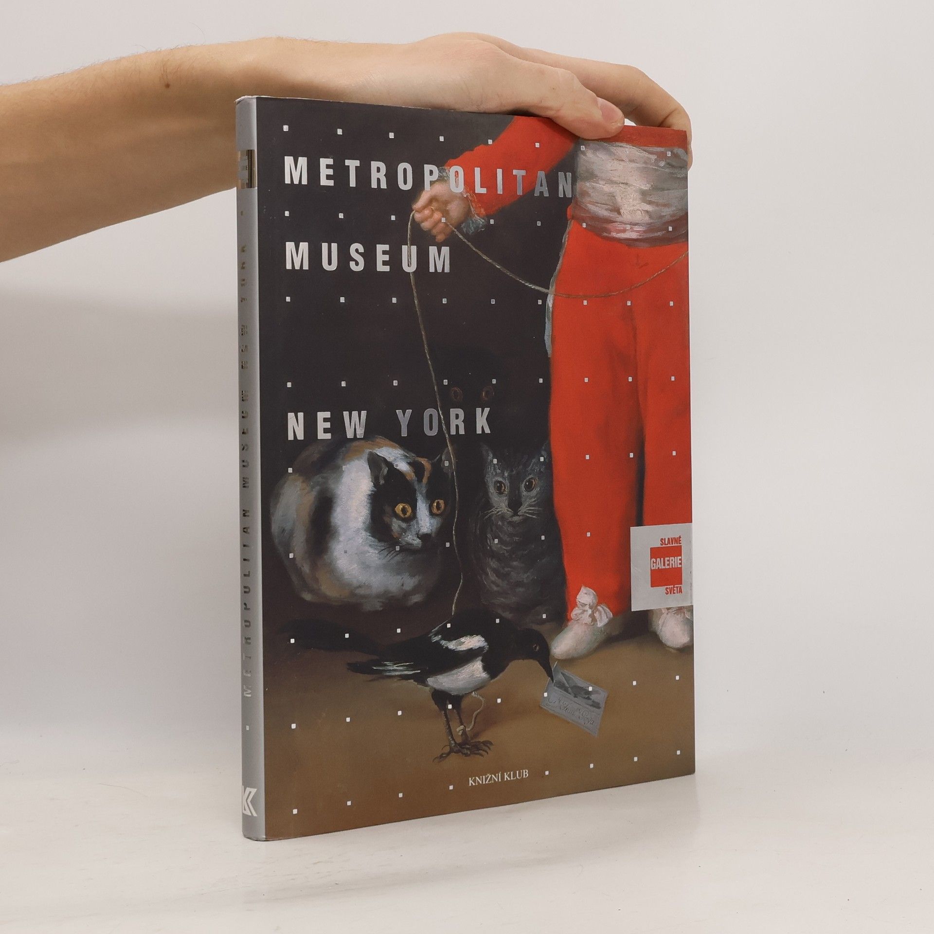 Lucia Impelluso Slavné galerie světa. Metropolitan Museum - New York